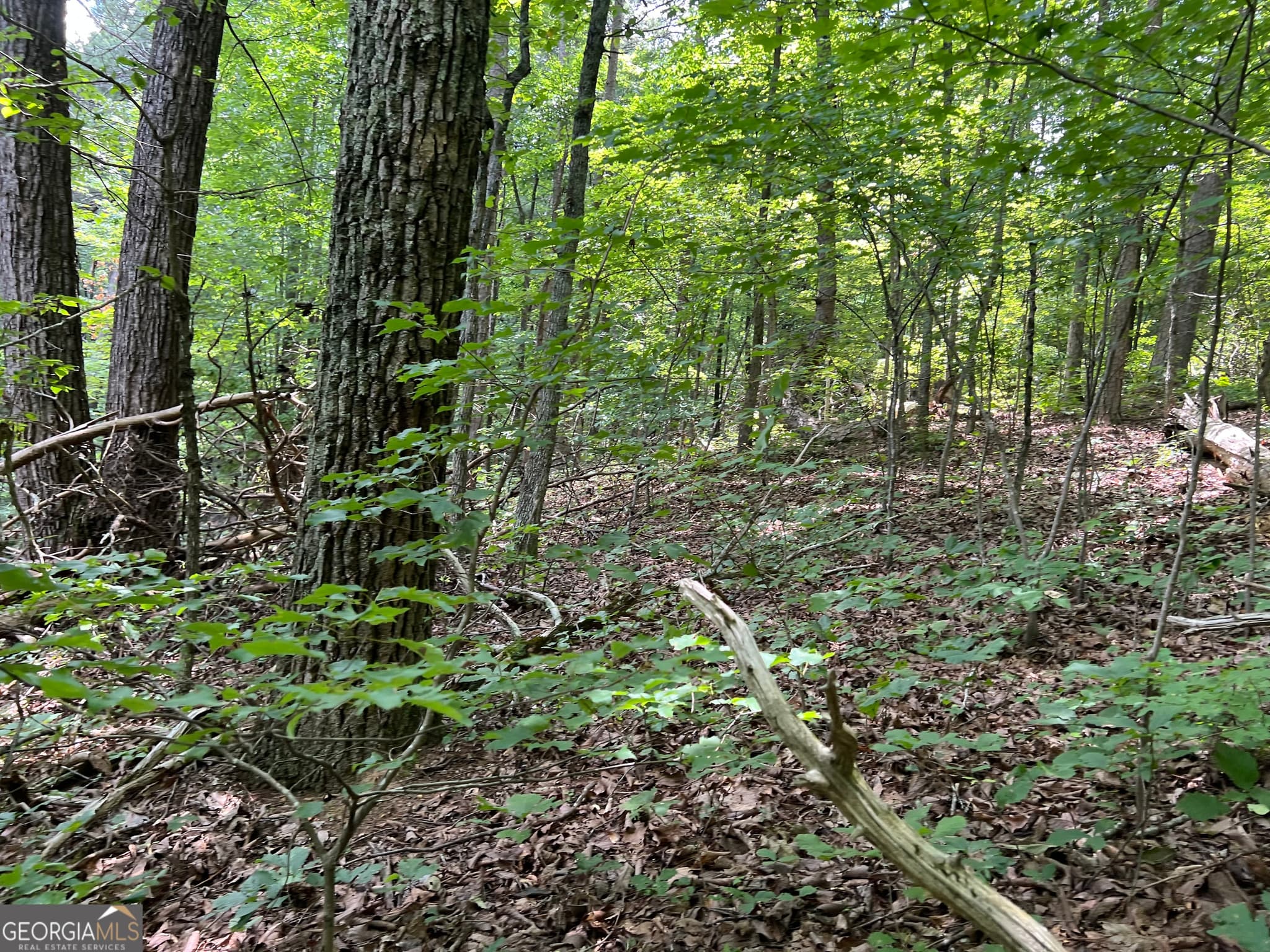 residential lot for sale at 0 Lavender Trail, Rome, GA 30165 — photo 6