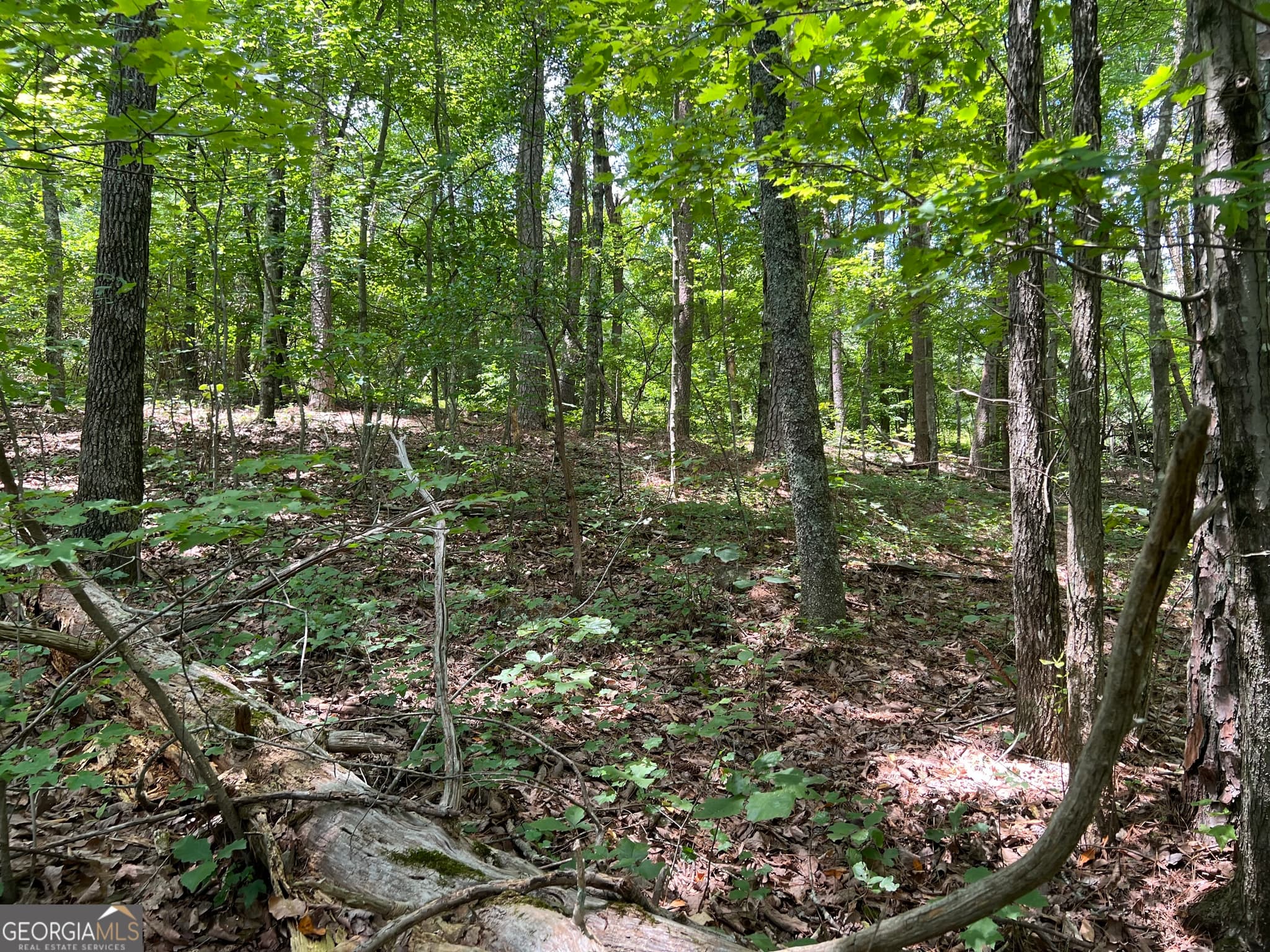 residential lot for sale at 0 Lavender Trail, Rome, GA 30165 — photo 7