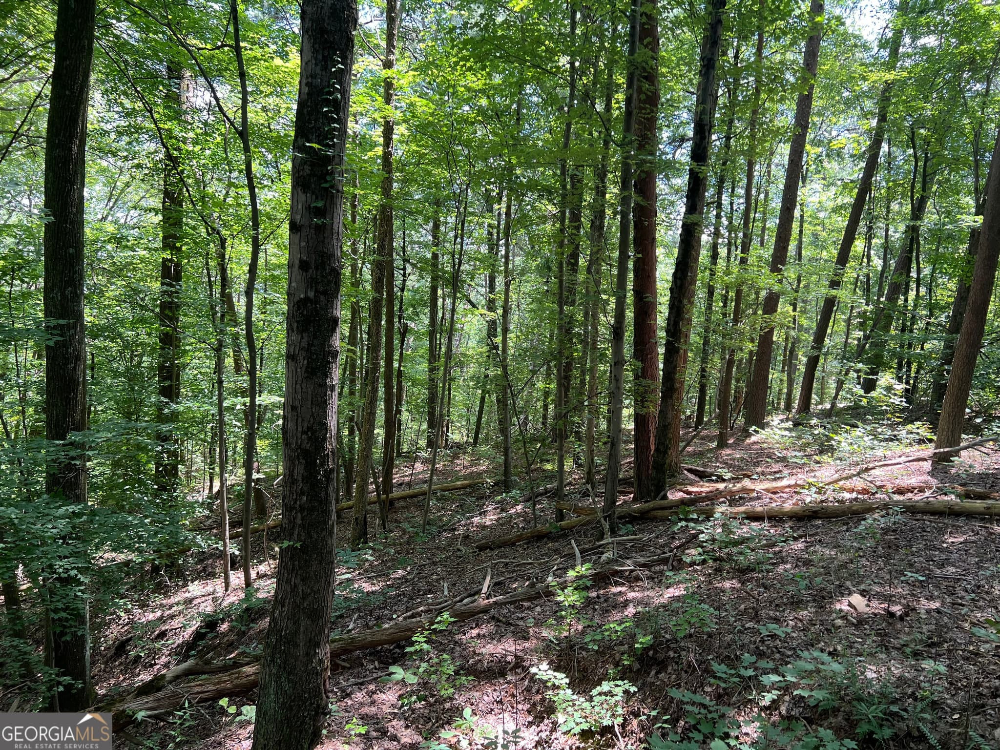 residential lot for sale at 0 Lavender Trail, Rome, GA 30165 — photo 3