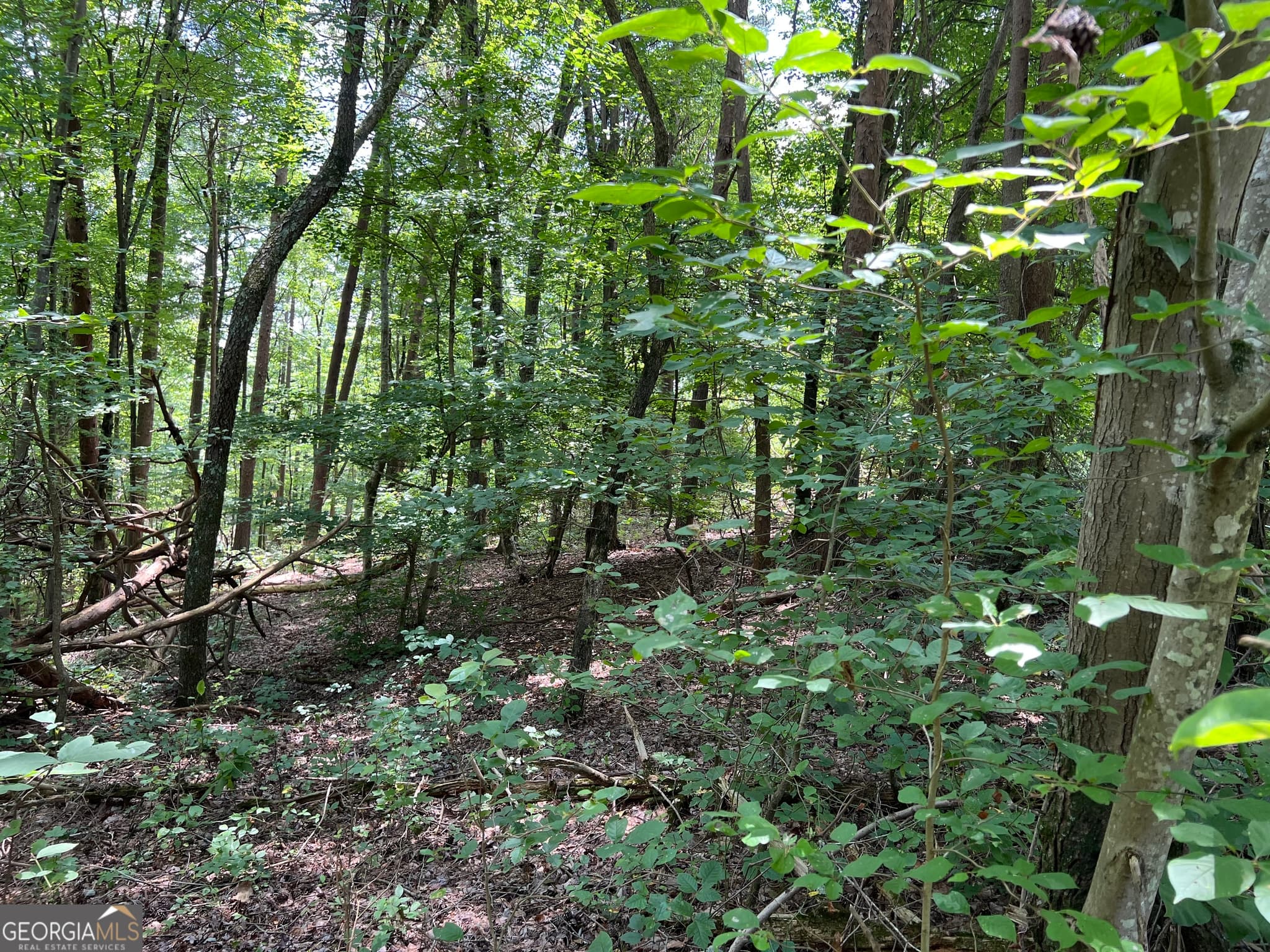 residential lot for sale at 0 Lavender Trail, Rome, GA 30165 — photo 1 of 48