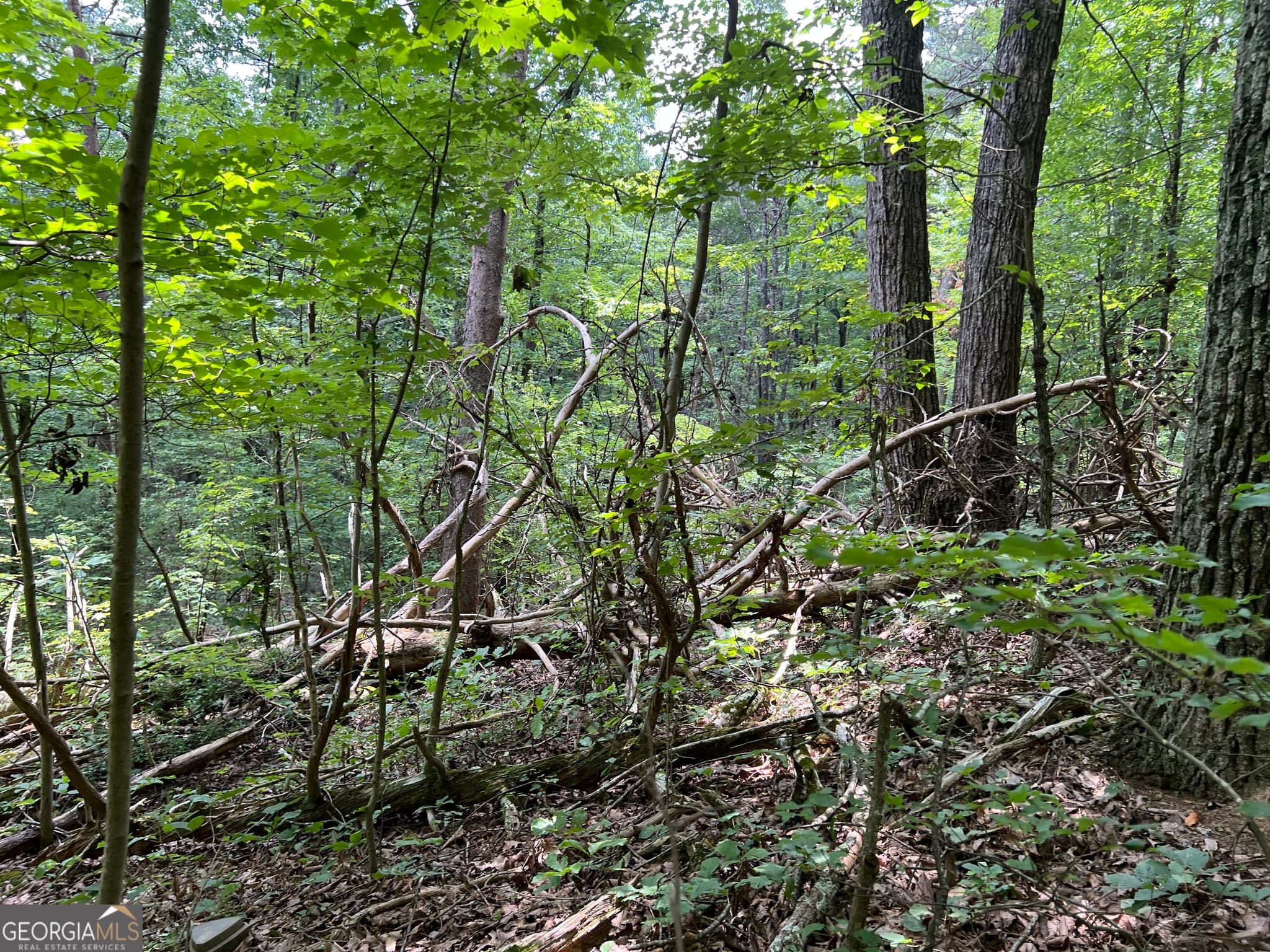 residential lot for sale at 0 Lavender Trail, Rome, GA 30165 — photo 5