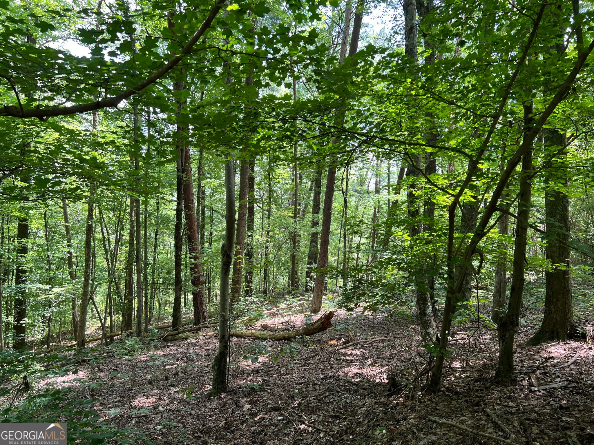 residential lot for sale at 0 Lavender Trail, Rome, GA 30165 — photo 9
