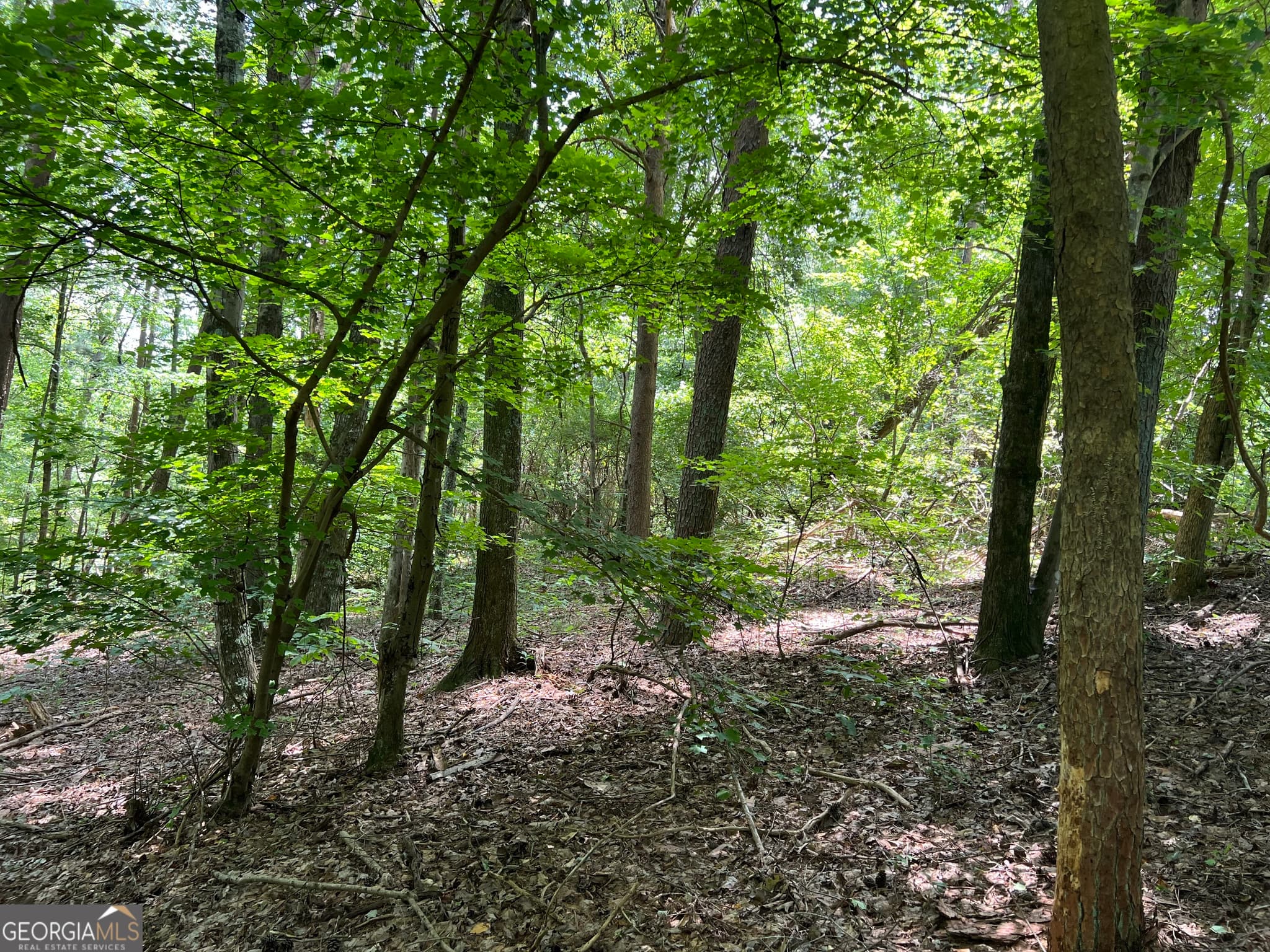 residential lot for sale at 0 Lavender Trail, Rome, GA 30165 — photo 10