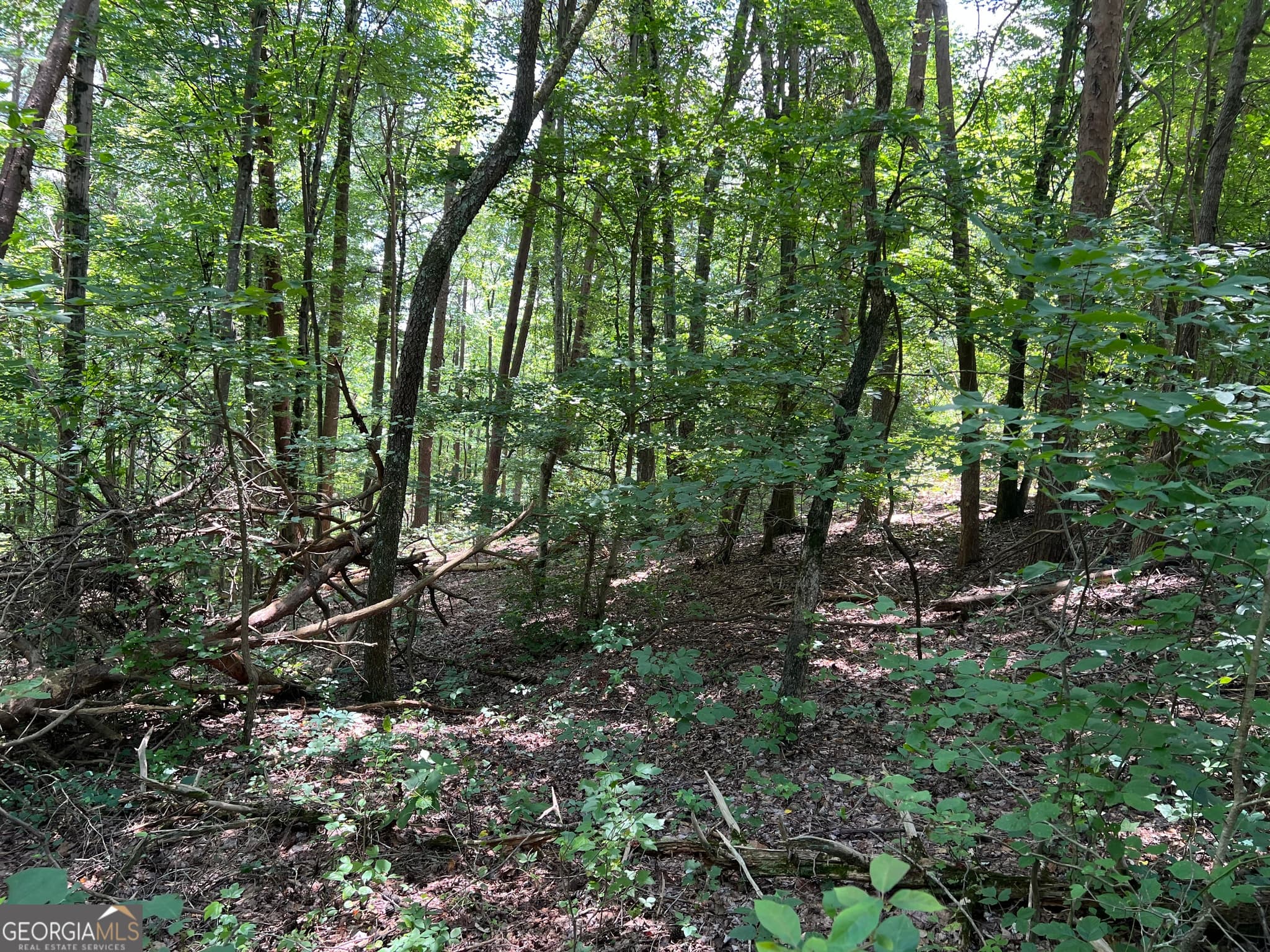 residential lot for sale at 0 Lavender Trail, Rome, GA 30165 — photo 4