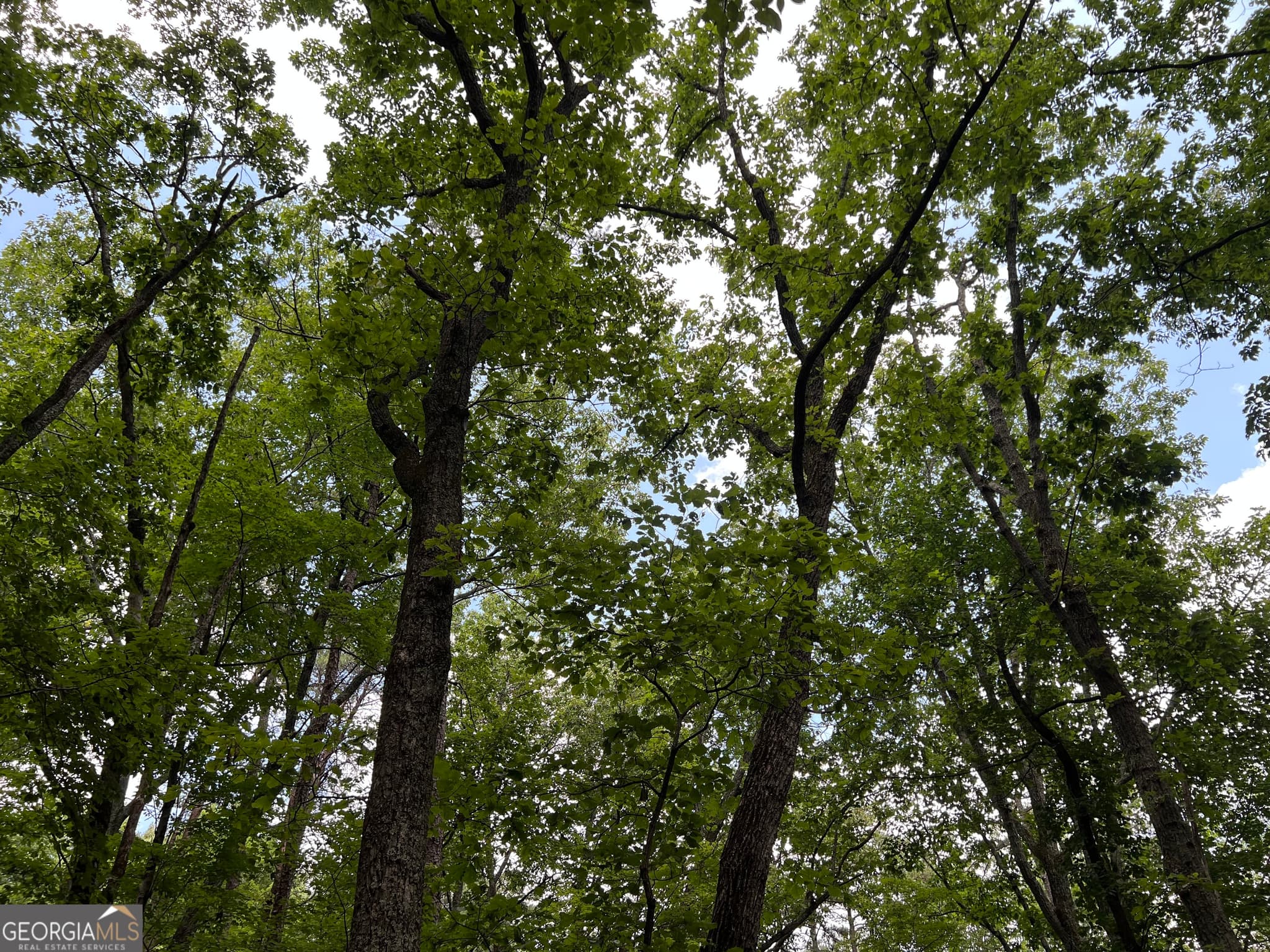 residential lot for sale at 0 Lavender Trail, Rome, GA 30165 — photo 8