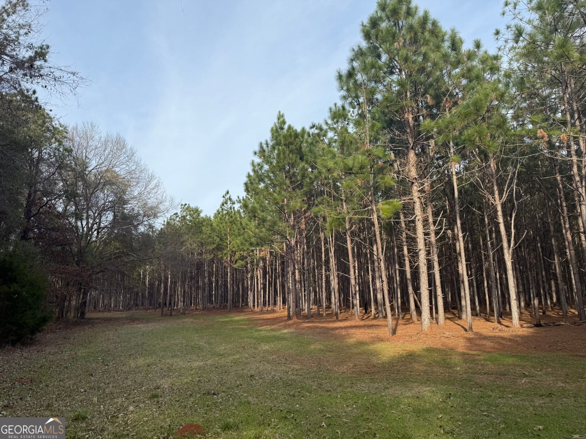 unimproved land for sale at 006 State Route 45, Plains, GA 31780 — photo 6