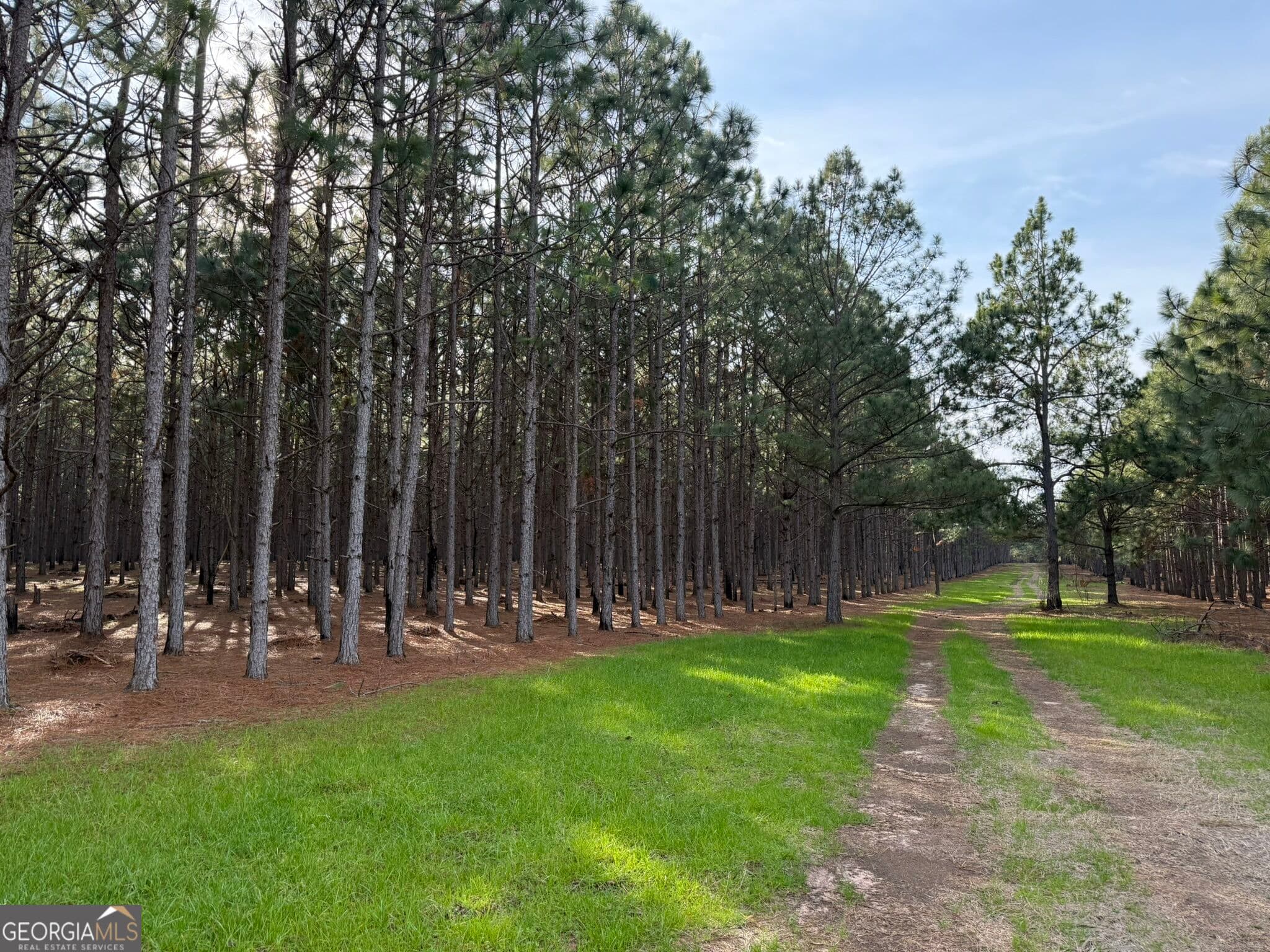 unimproved land for sale at 006 State Route 45, Plains, GA 31780 — photo 4