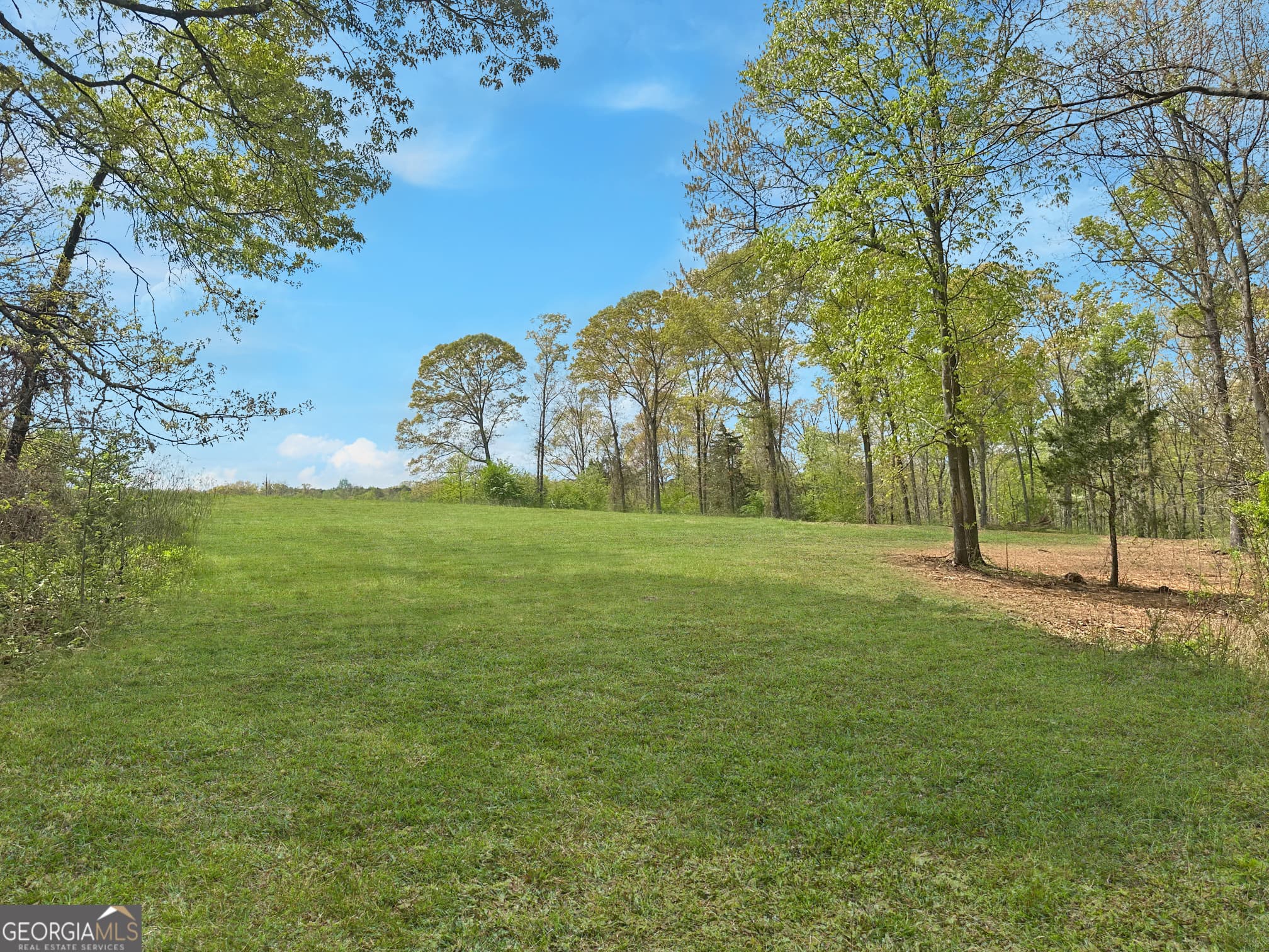 estate lot for sale at 102 Broad River Road LOT 6, Eastanollee, GA 30538 — photo 6