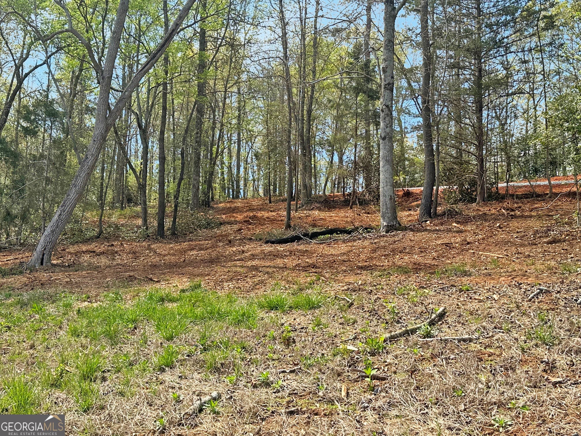estate lot for sale at 102 Broad River Road LOT 6, Eastanollee, GA 30538 — photo 7