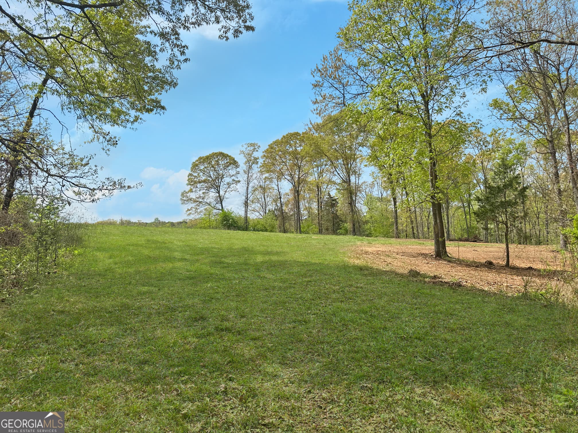 estate lot for sale at 102 Broad River Road LOT 6, Eastanollee, GA 30538 — photo 4