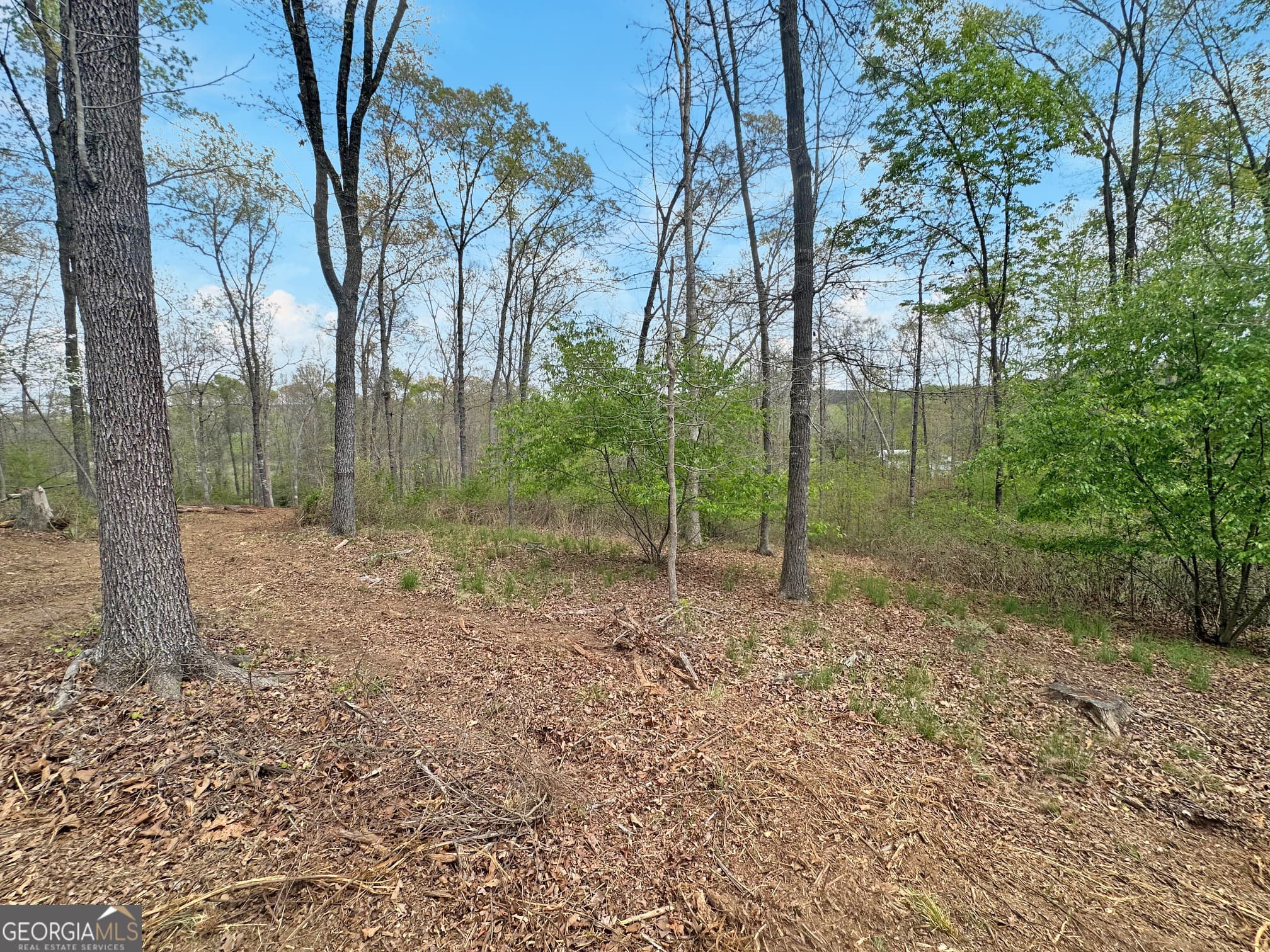 estate lot for sale at 102 Broad River Road LOT 6, Eastanollee, GA 30538 — photo 8