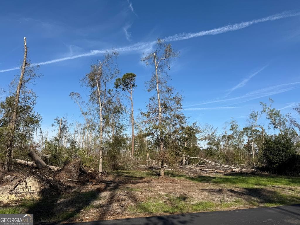 unimproved land for sale at 0 Old Graham Road, Hazlehurst, GA 31539