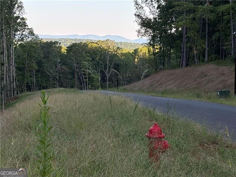 residential lot for sale at LOT 27 Norton Lane, Dahlonega, GA 30533 — photo 7