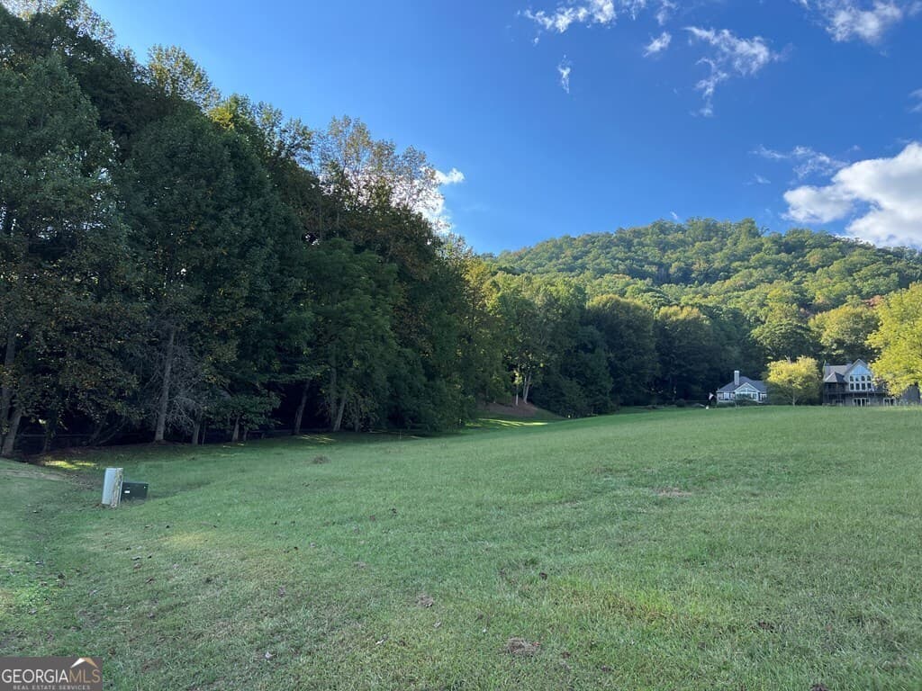 residential lot for sale at LOT 1D Foxfire Drive, Hayesville, NC 28904 — photo 7