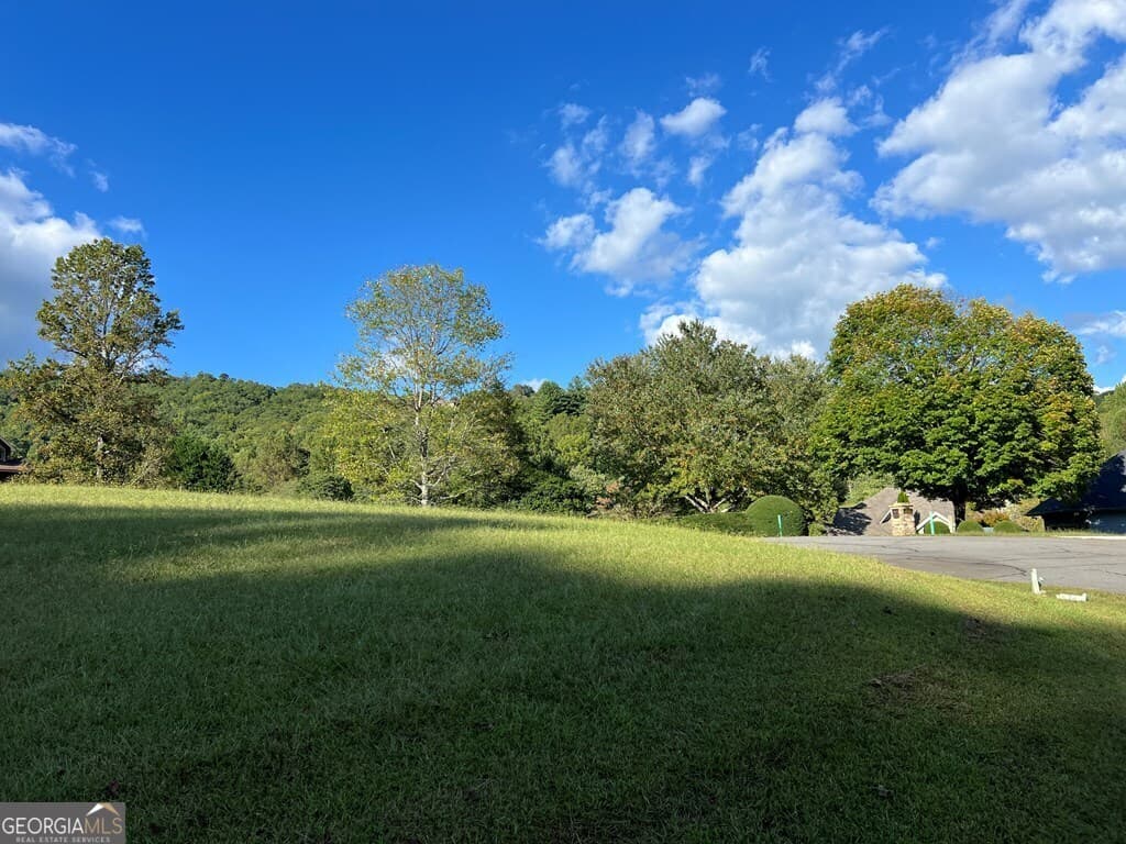residential lot for sale at LOT 1D Foxfire Drive, Hayesville, NC 28904 — photo 10