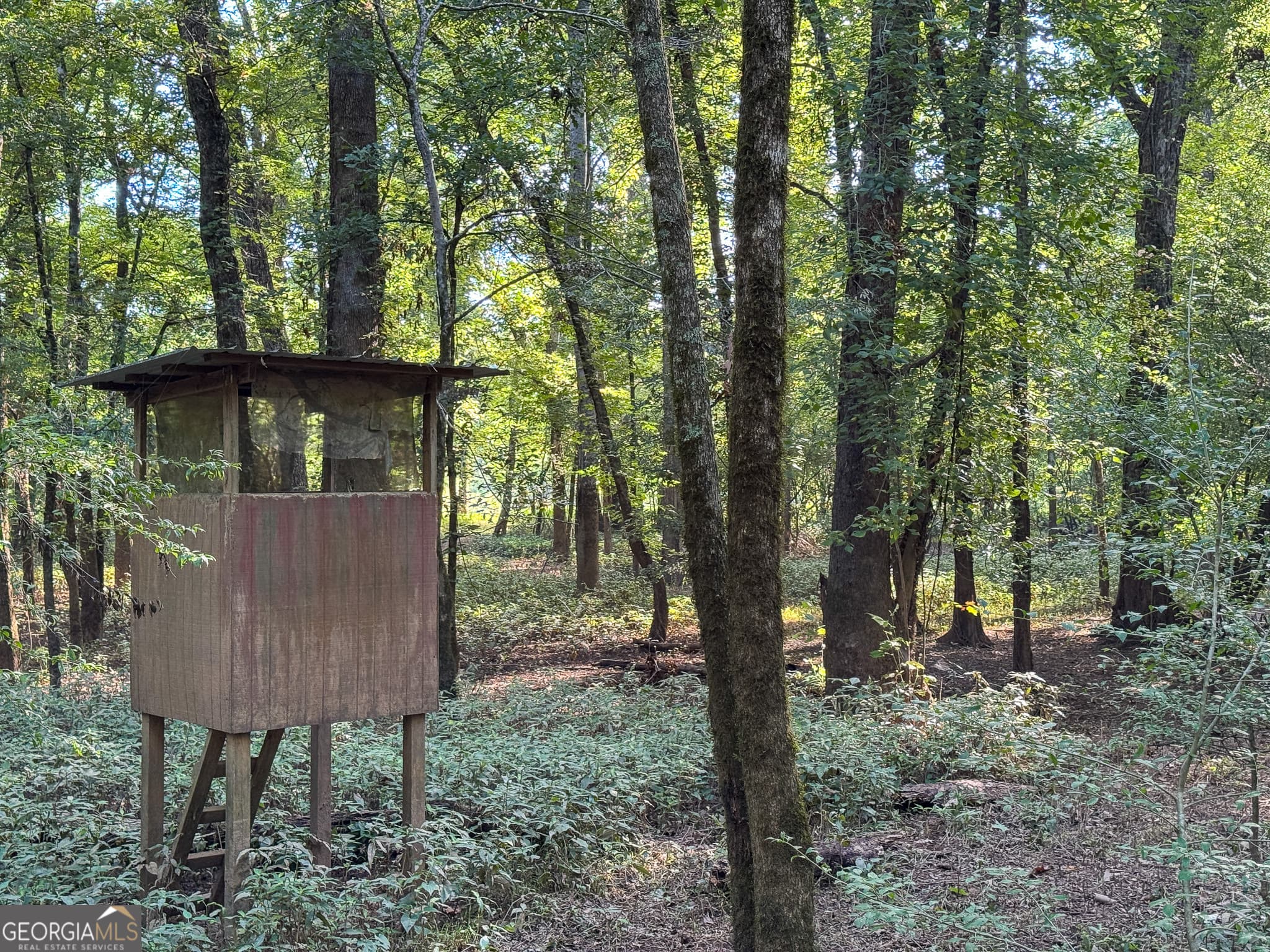 agriculture sold at 583 Treisch Road, Pineview, GA 31071