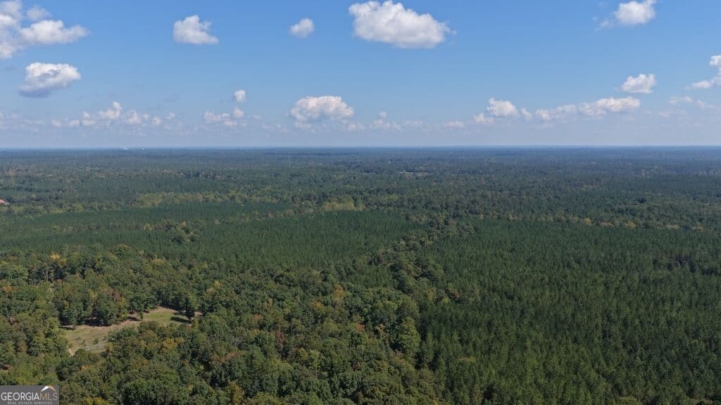 agriculture for sale at 0 Hwy 220 & Salem Church Road, Lincolnton, GA 30817 — photo 6