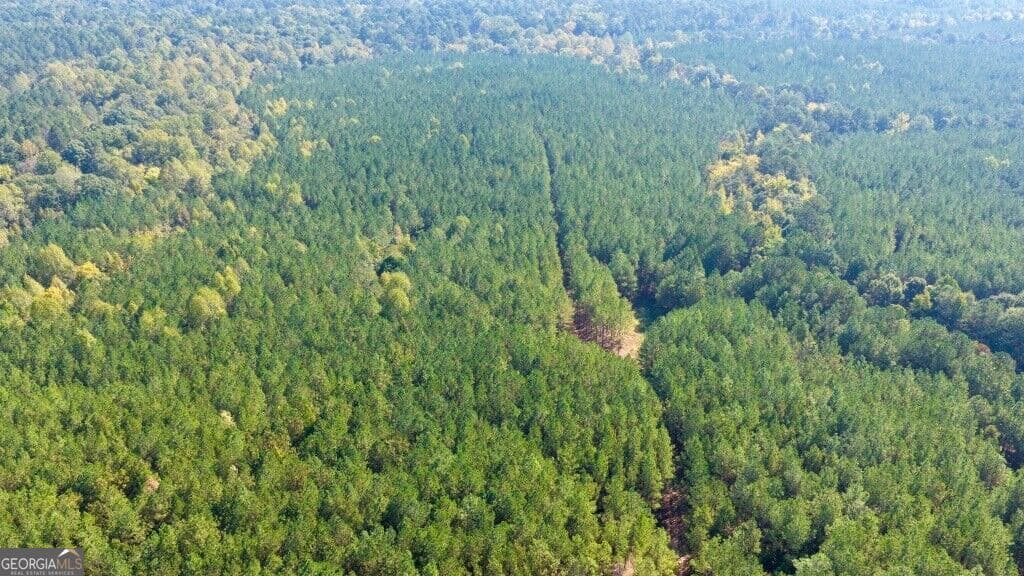 agriculture for sale at 0 Hwy 220 & Salem Church Road, Lincolnton, GA 30817 — photo 3