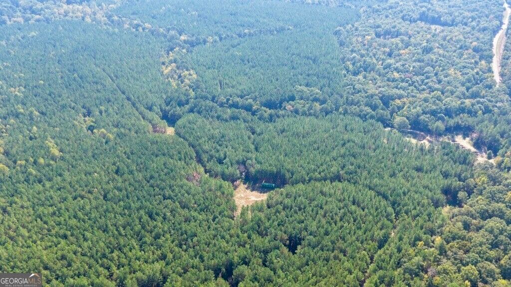 agriculture for sale at 0 Hwy 220 & Salem Church Road, Lincolnton, GA 30817
