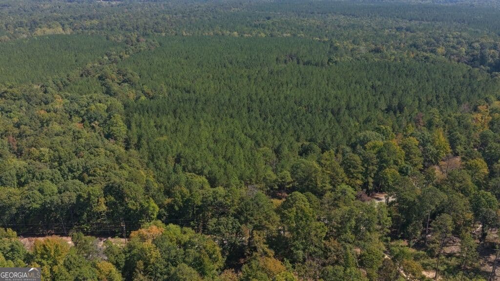 agriculture for sale at 0 Hwy 220 & Salem Church Road, Lincolnton, GA 30817 — photo 5