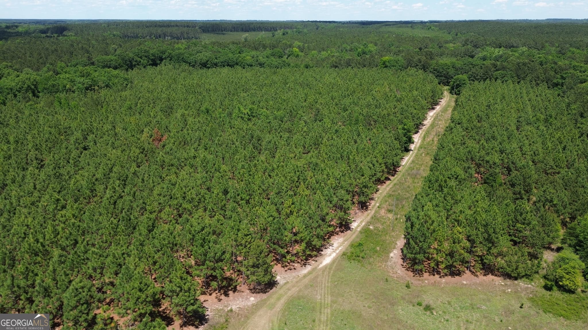 agriculture sold at 0 West River Road, Rhine, GA 31077