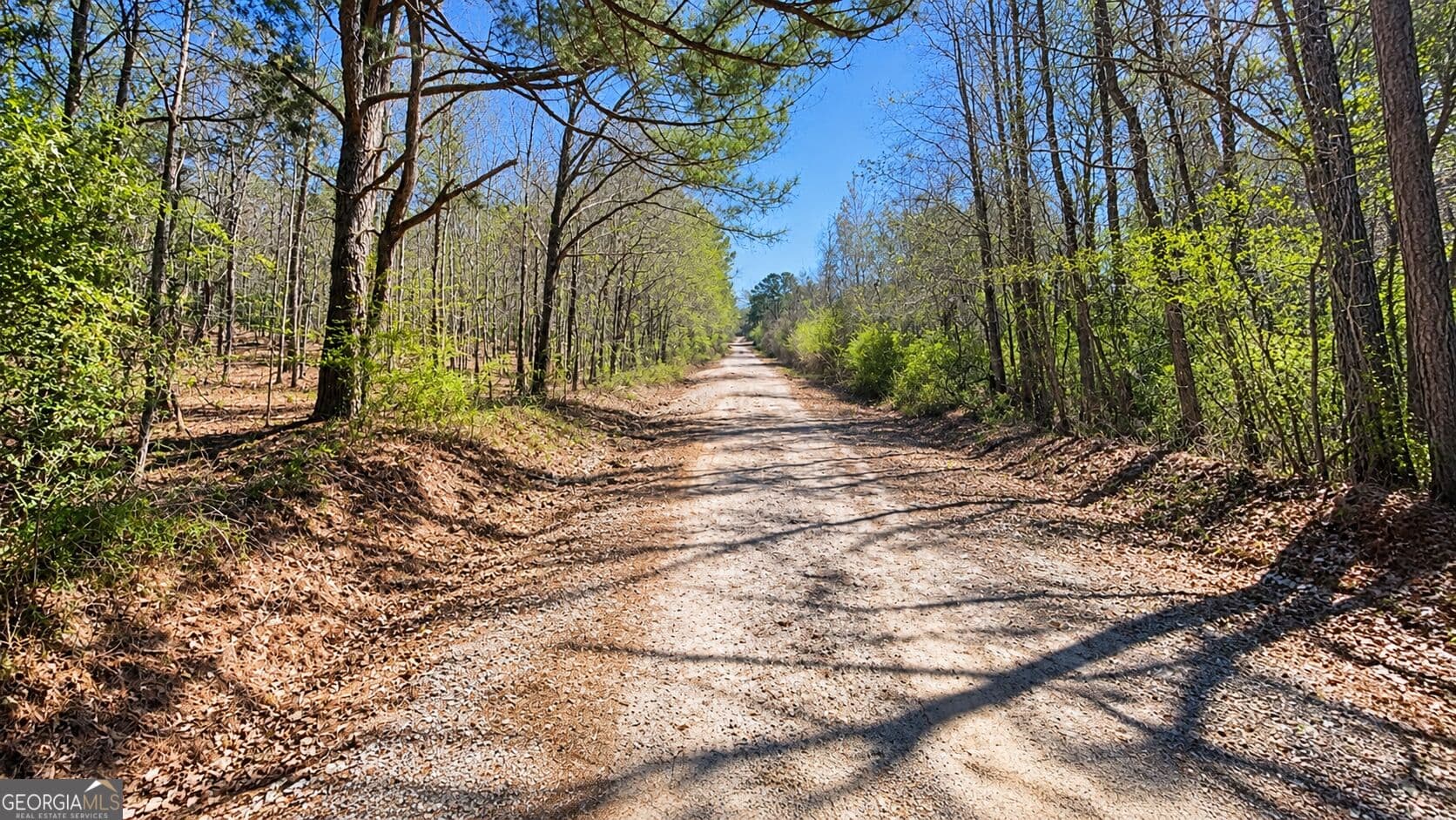 residential lot for sale at 0 Emerson Road, Greenville, GA 30222 — photo 2