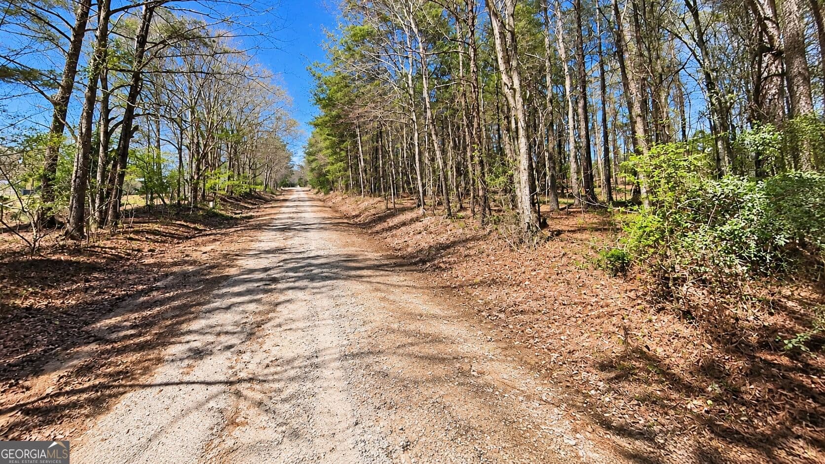 residential lot for sale at 0 Emerson Road, Greenville, GA 30222 — photo 6