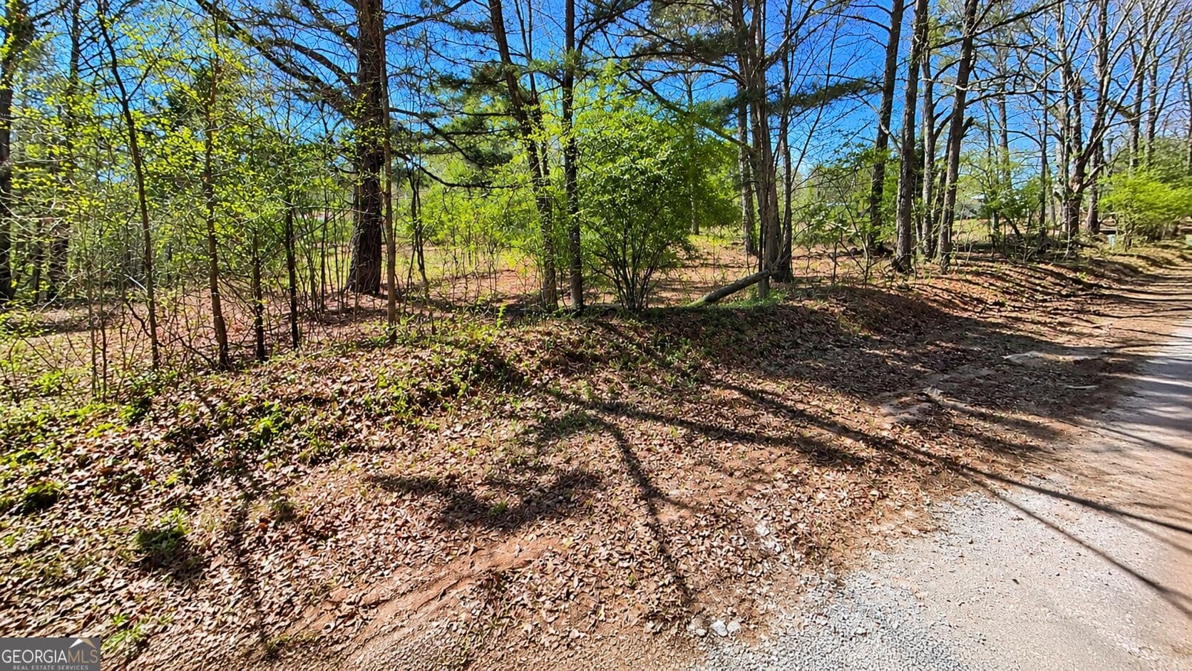 residential lot for sale at 0 Emerson Road, Greenville, GA 30222 — photo 5