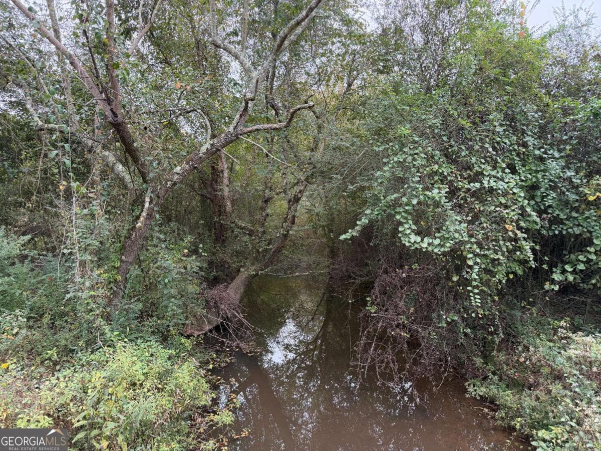 unimproved land for sale at 0 County Road 60, Heflin, AL 36264 — photo 2
