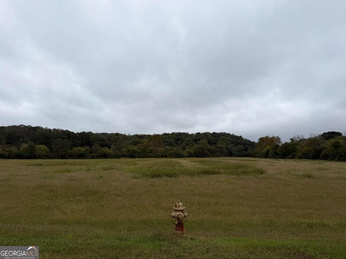 unimproved land for sale at 0 County Road 60, Heflin, AL 36264 — photo 6