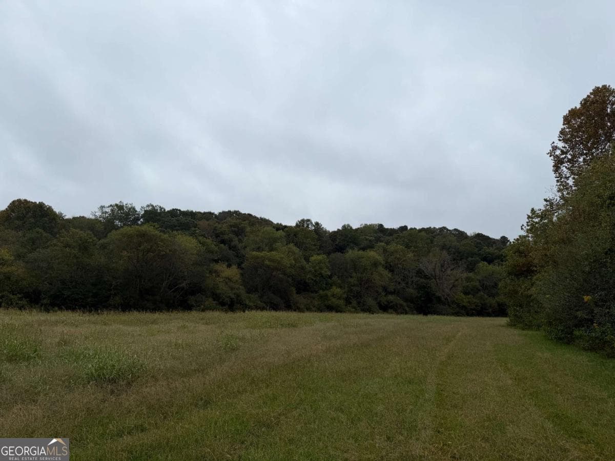 unimproved land for sale at 0 County Road 60, Heflin, AL 36264 — photo 7