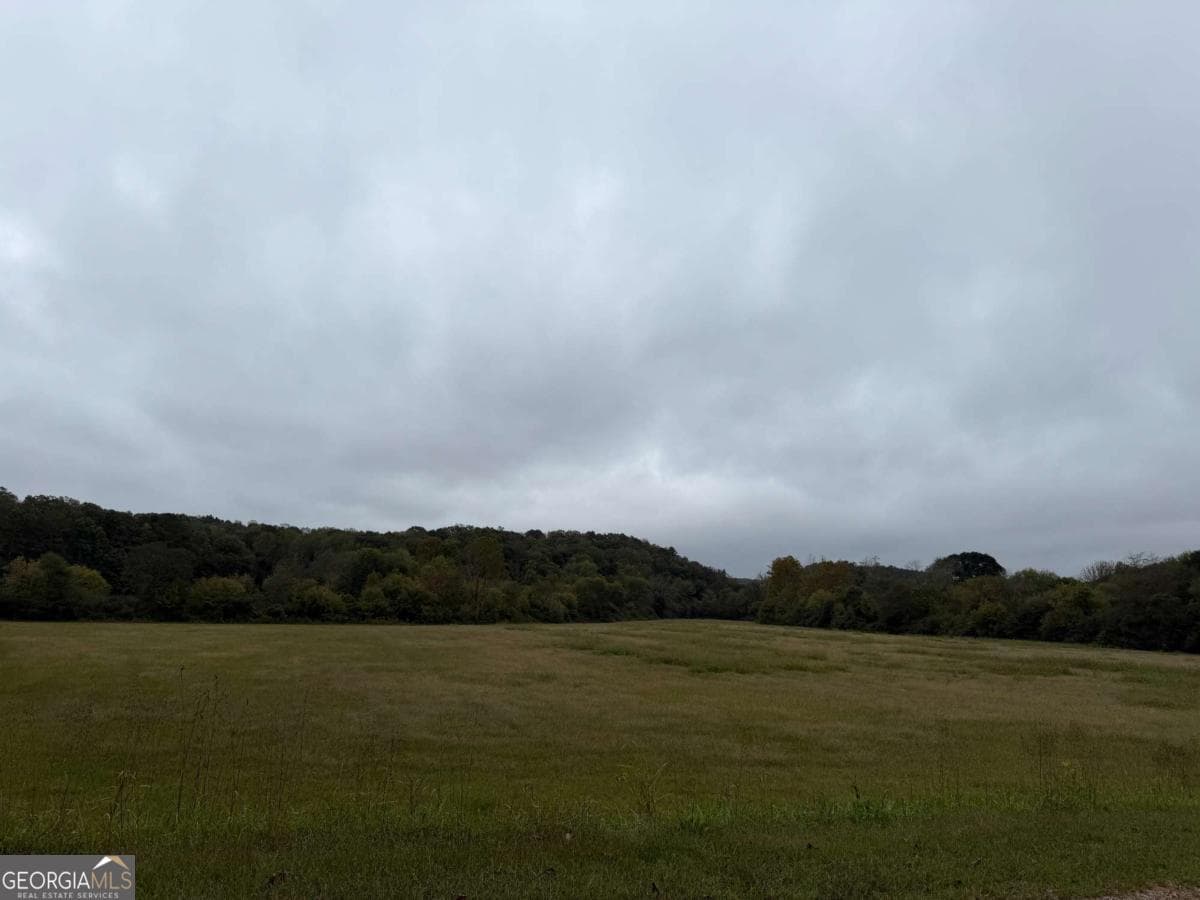 unimproved land for sale at 0 County Road 60, Heflin, AL 36264 — photo 5