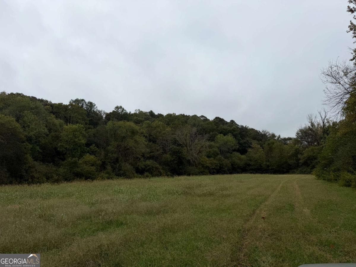 unimproved land for sale at 0 County Road 60, Heflin, AL 36264 — photo 9