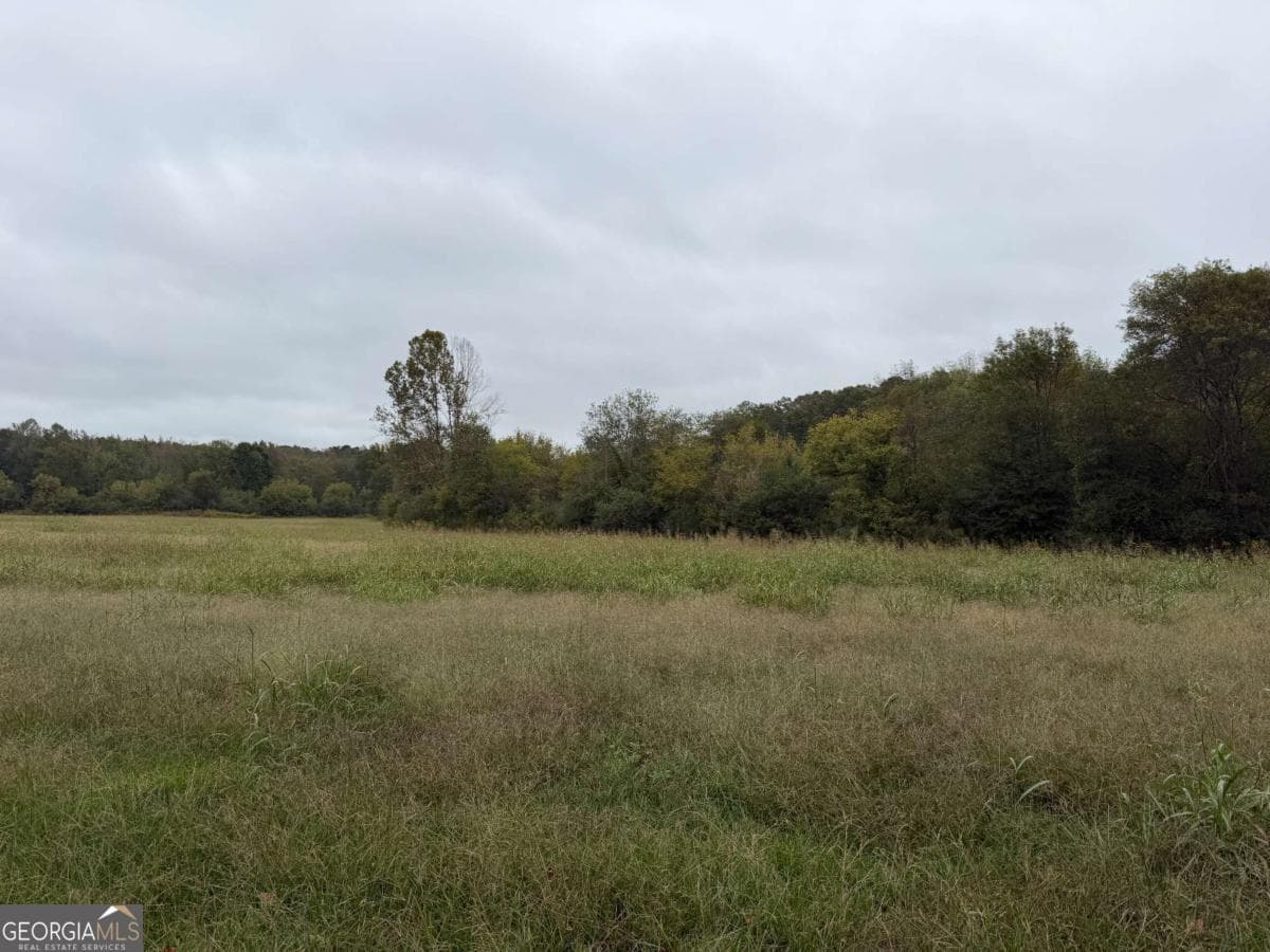 unimproved land for sale at 0 County Road 60, Heflin, AL 36264 — photo 10