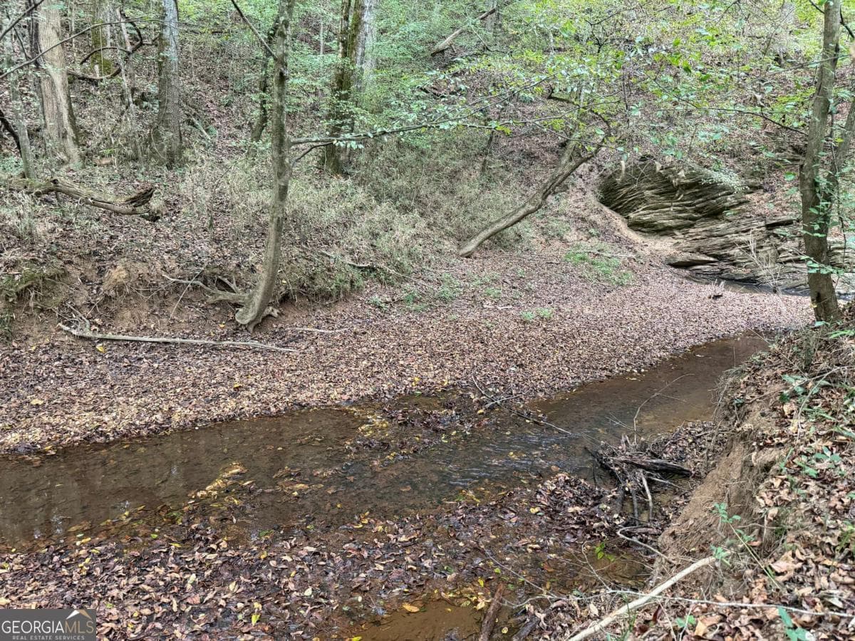 unimproved land for sale at 0 County Road 60, Heflin, AL 36264 — photo 4