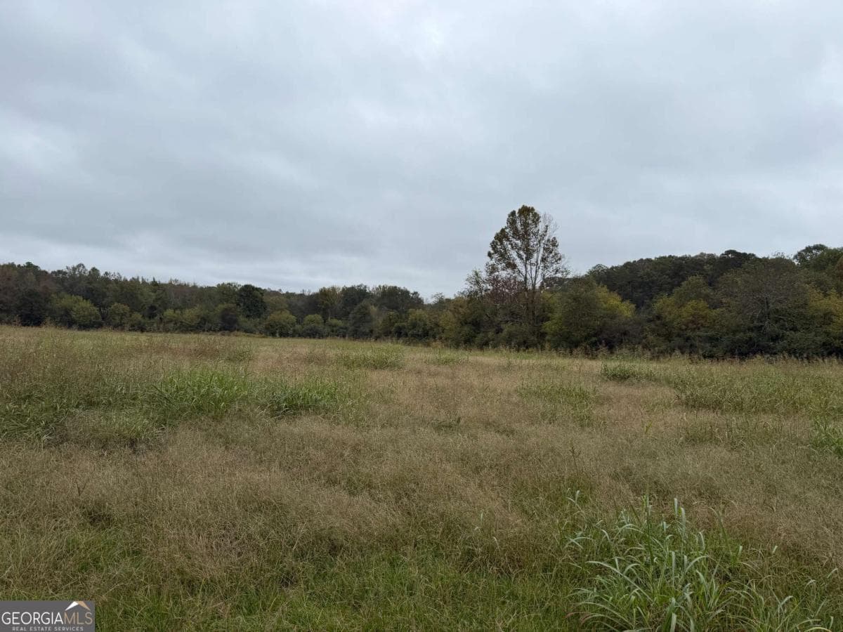 unimproved land for sale at 0 County Road 60, Heflin, AL 36264 — photo 8
