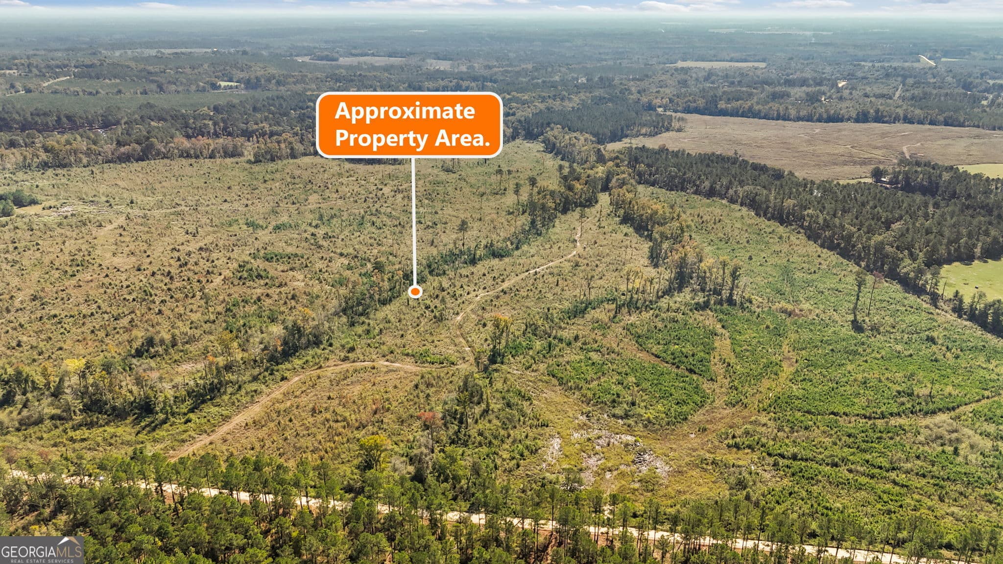 unimproved land for sale at 0 Peacock Crossing, Tennille, GA 31089 — photo 2