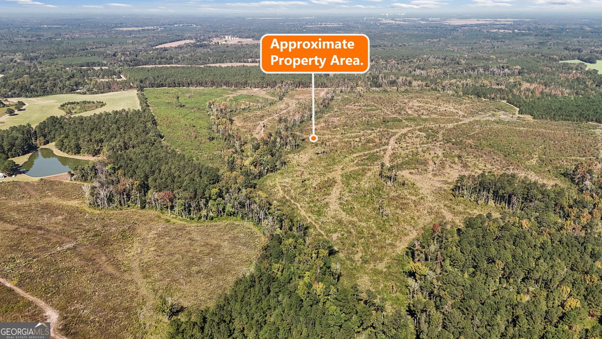 unimproved land for sale at 0 Peacock Crossing, Tennille, GA 31089 — photo 6