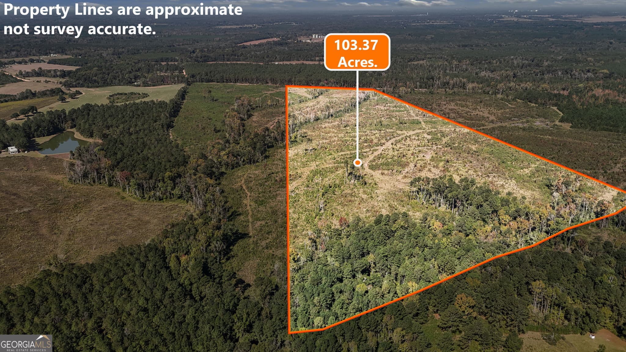 unimproved land for sale at 0 Peacock Crossing, Tennille, GA 31089 — photo 7