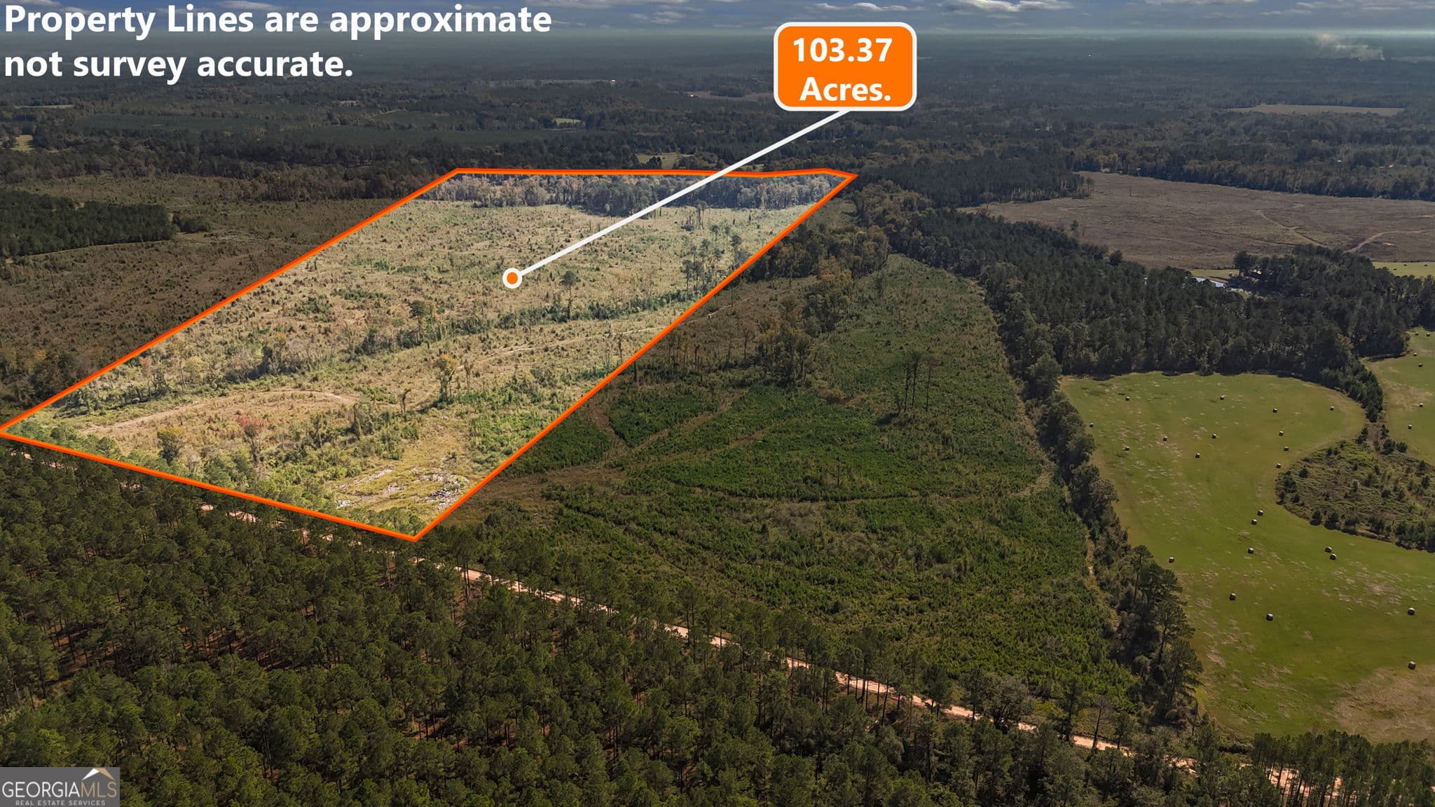 unimproved land for sale at 0 Peacock Crossing, Tennille, GA 31089 — photo 3