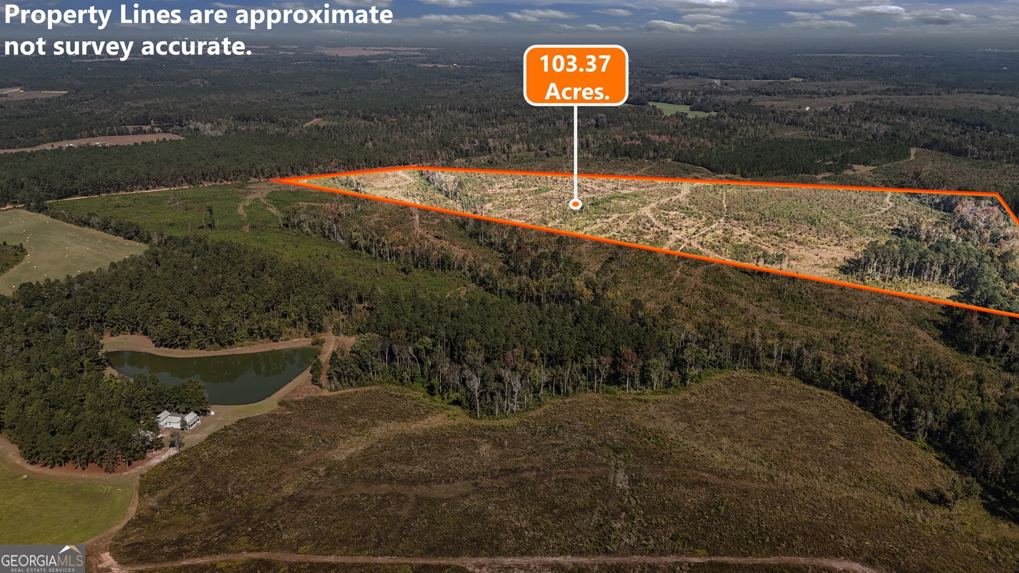 unimproved land for sale at 0 Peacock Crossing, Tennille, GA 31089 — photo 5