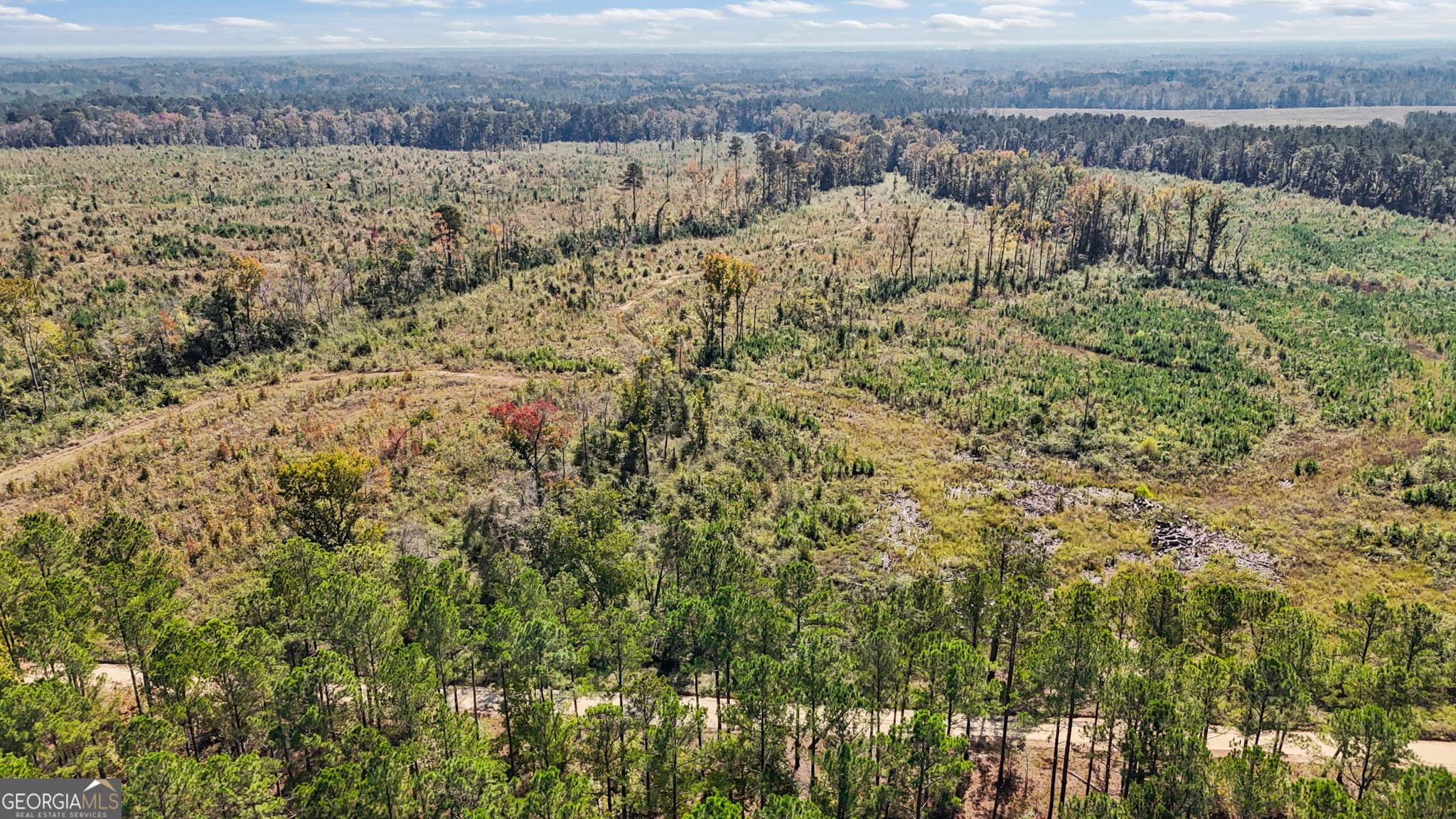 unimproved land for sale at 0 Peacock Crossing, Tennille, GA 31089 — photo 10