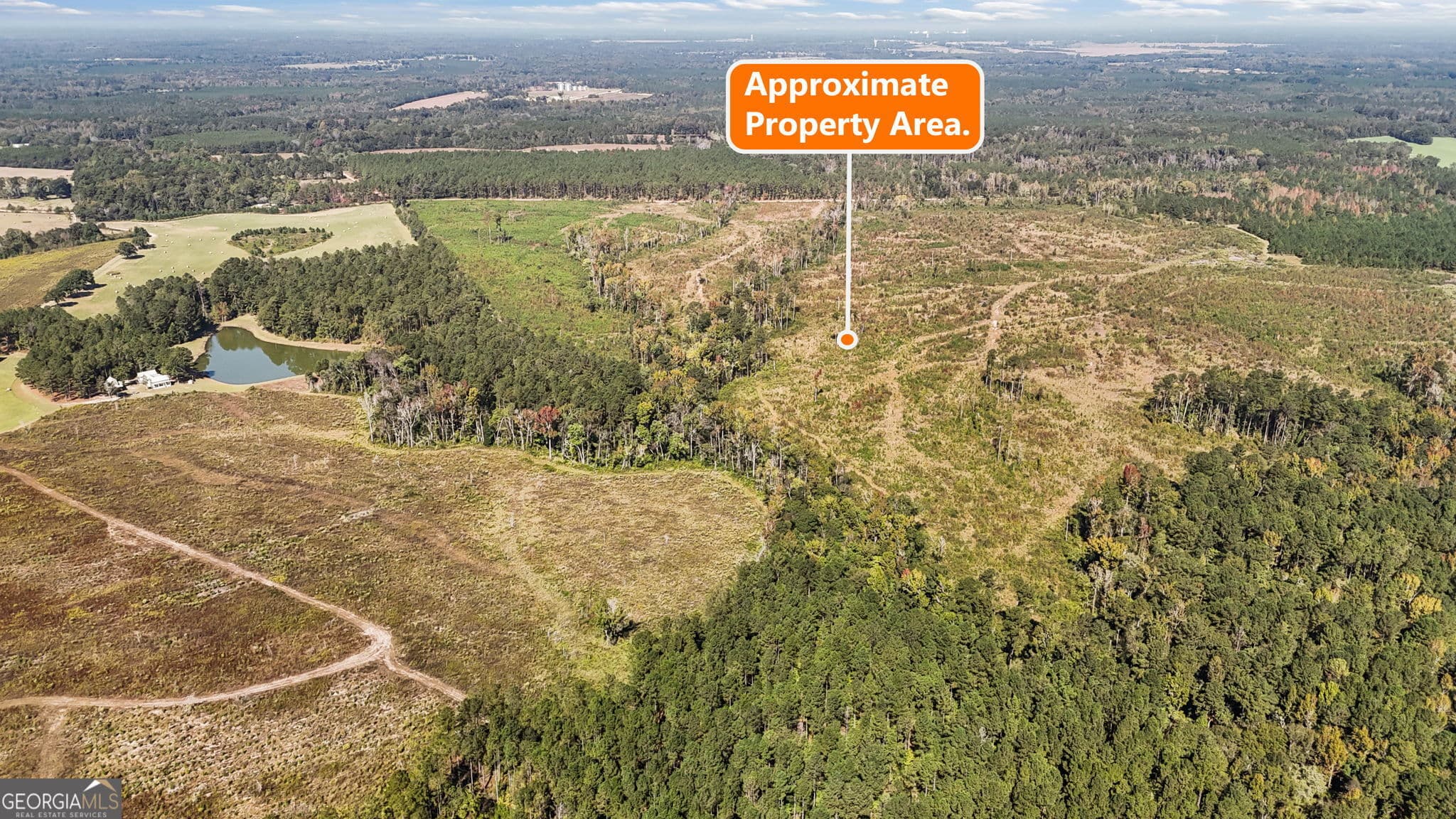 unimproved land for sale at 0 Peacock Crossing, Tennille, GA 31089 — photo 8
