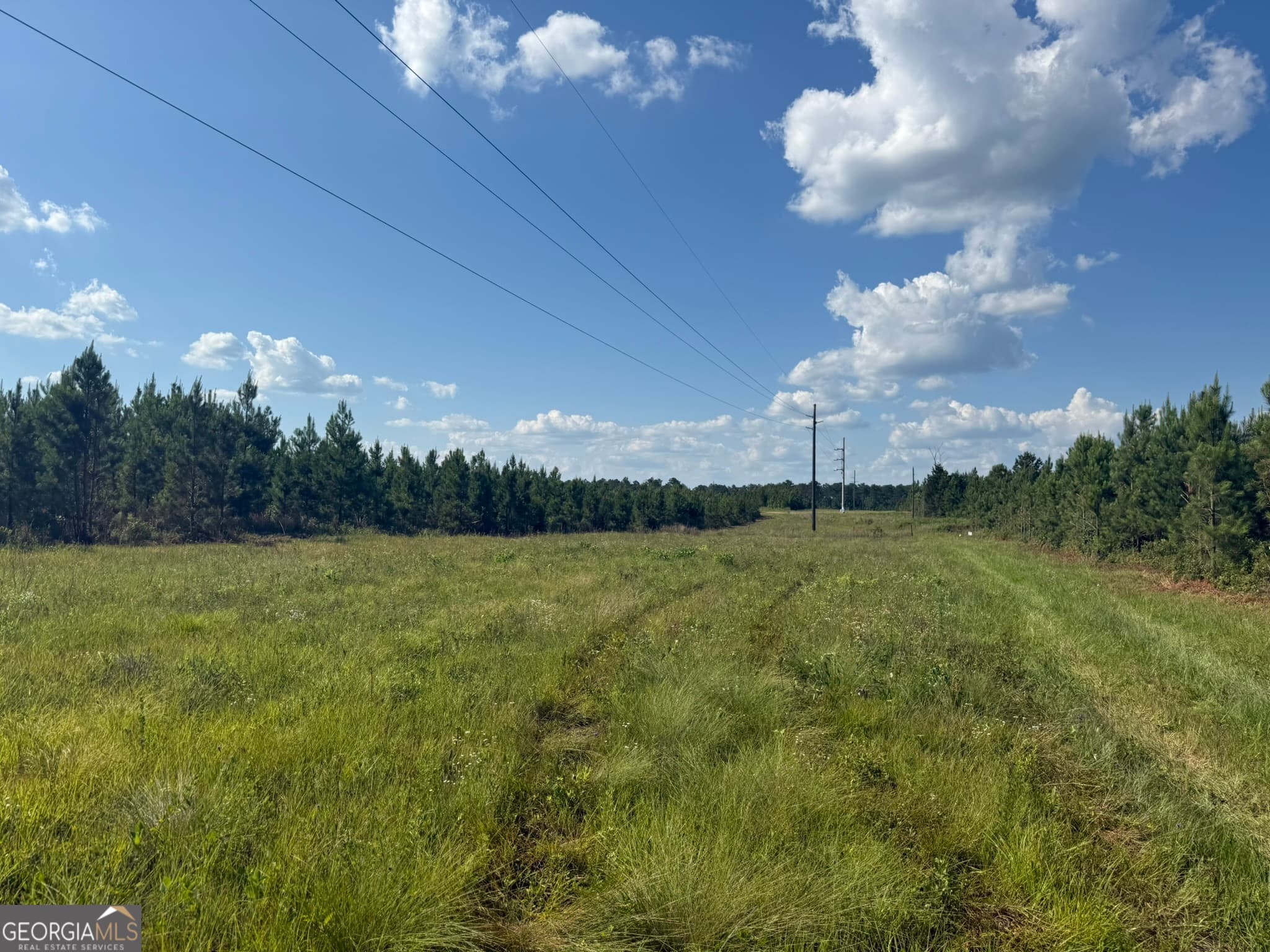 agriculture for sale at 009 George Milling Road, Cuthbert, GA 39840 — photo 7
