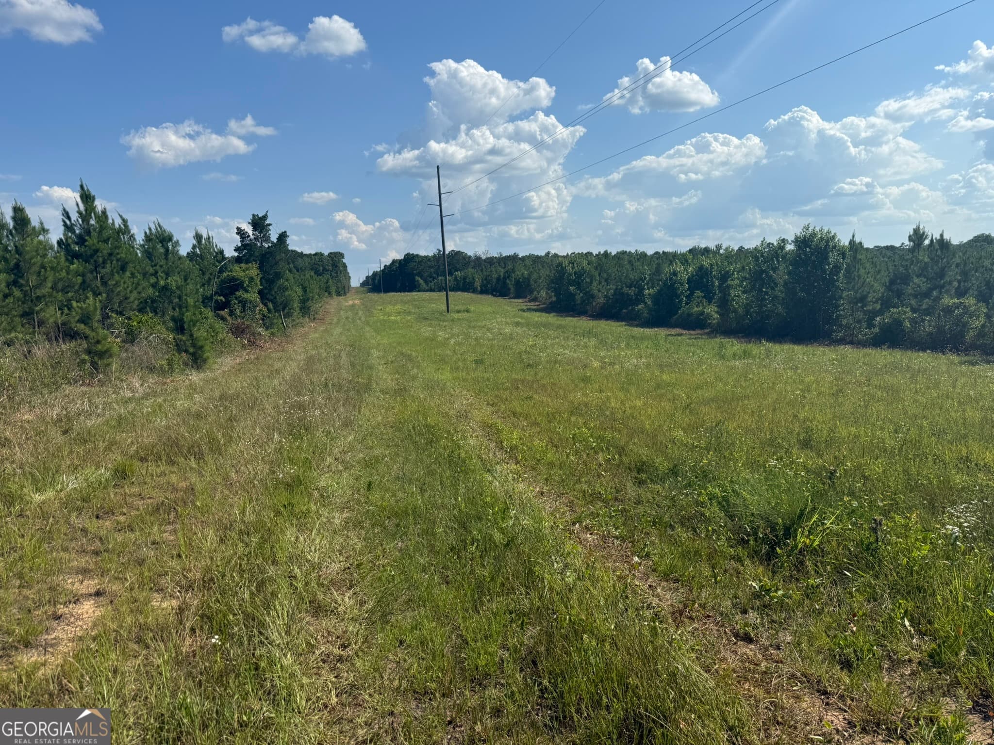 agriculture for sale at 009 George Milling Road, Cuthbert, GA 39840 — photo 1 of 11