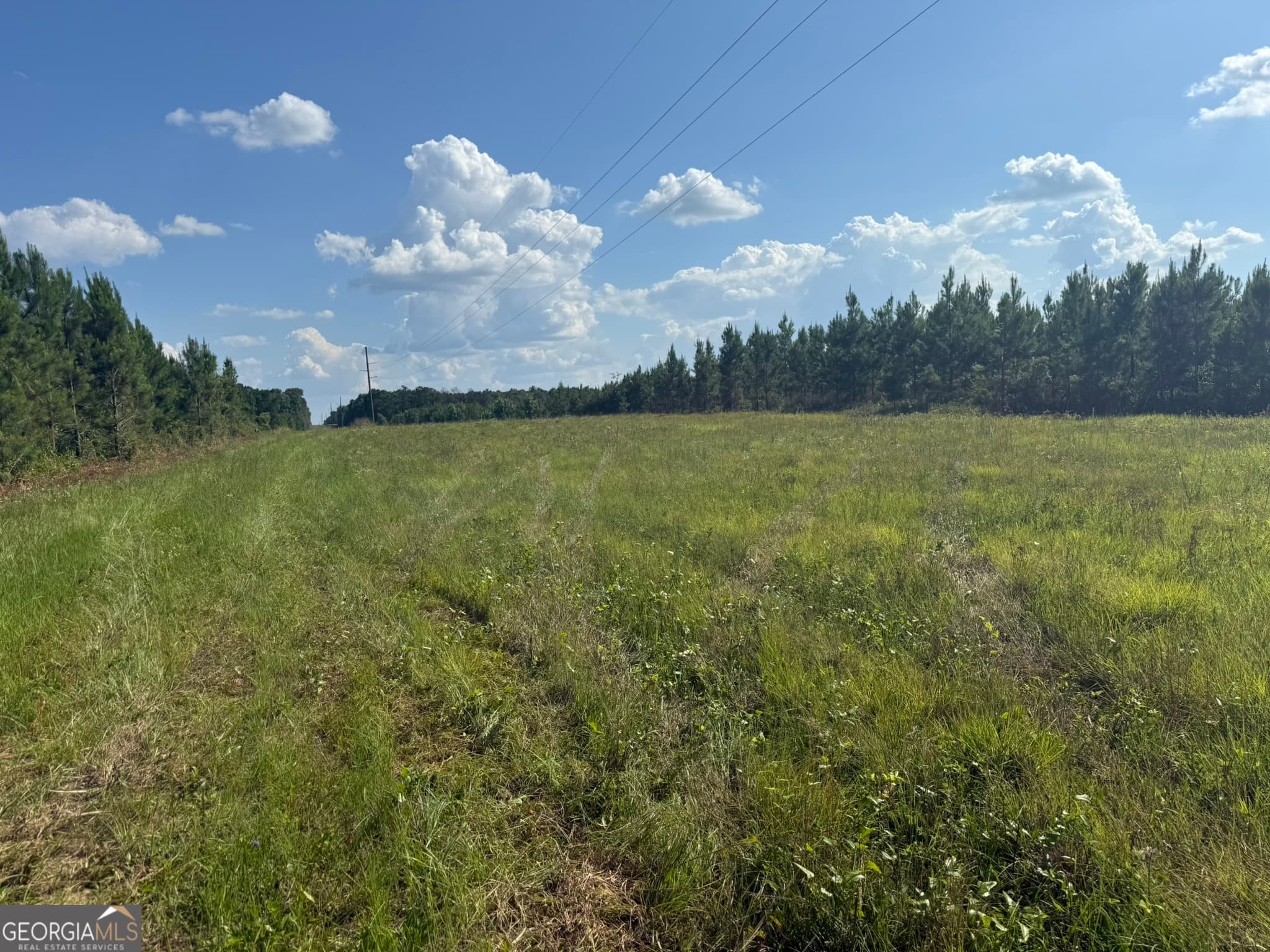 agriculture for sale at 009 George Milling Road, Cuthbert, GA 39840 — photo 5