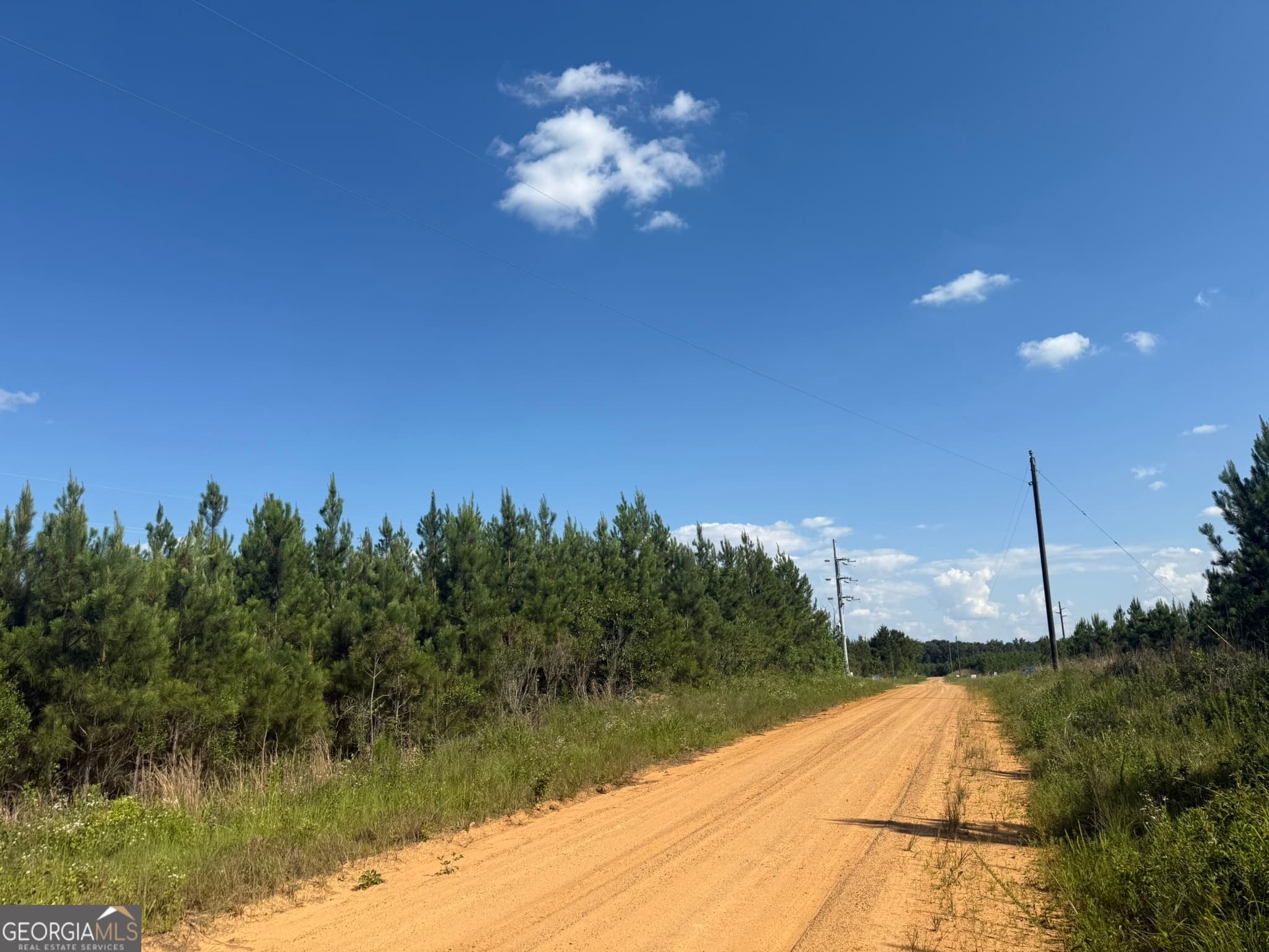 agriculture for sale at 009 George Milling Road, Cuthbert, GA 39840 — photo 9