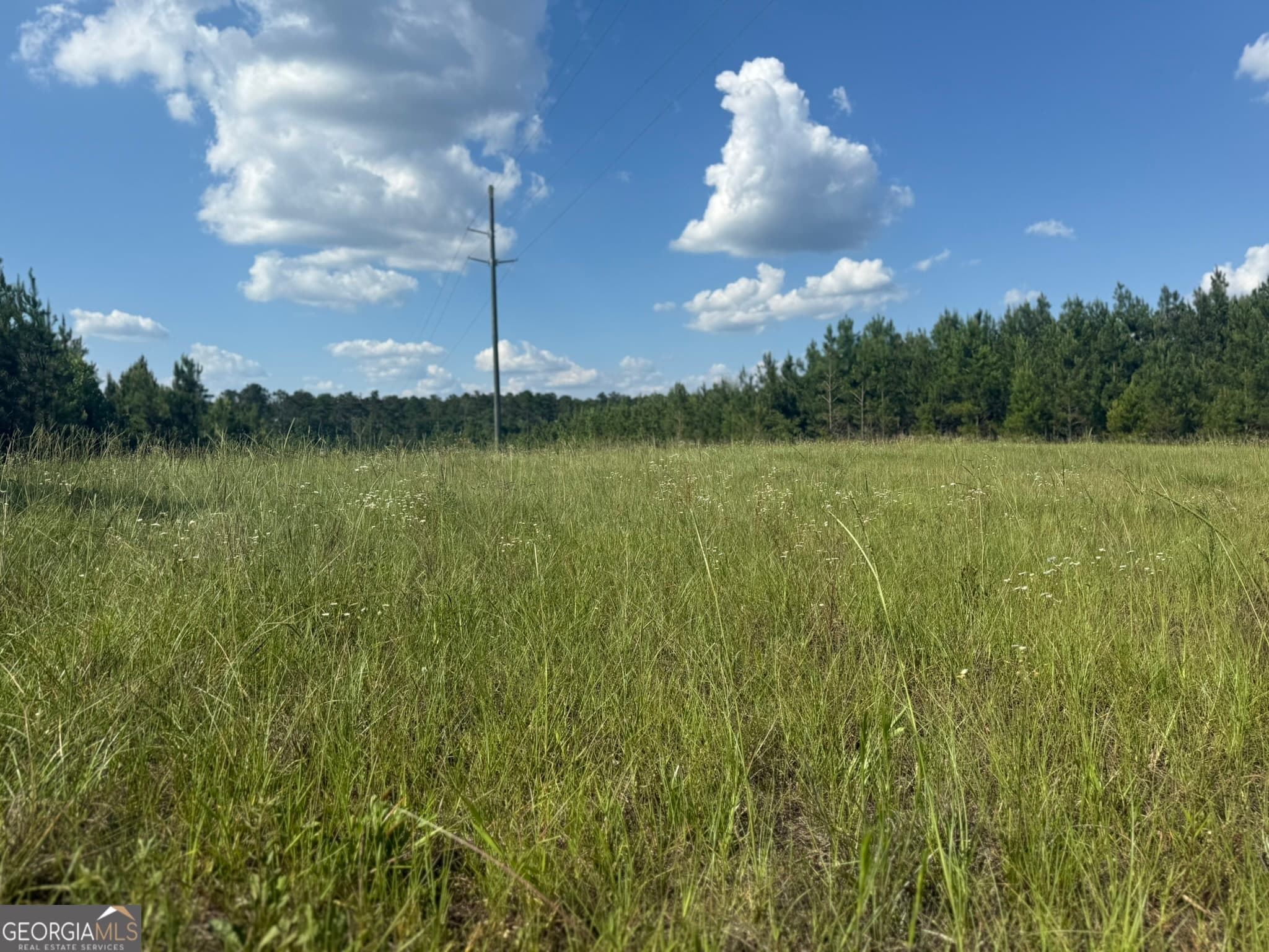 agriculture for sale at 009 George Milling Road, Cuthbert, GA 39840 — photo 4