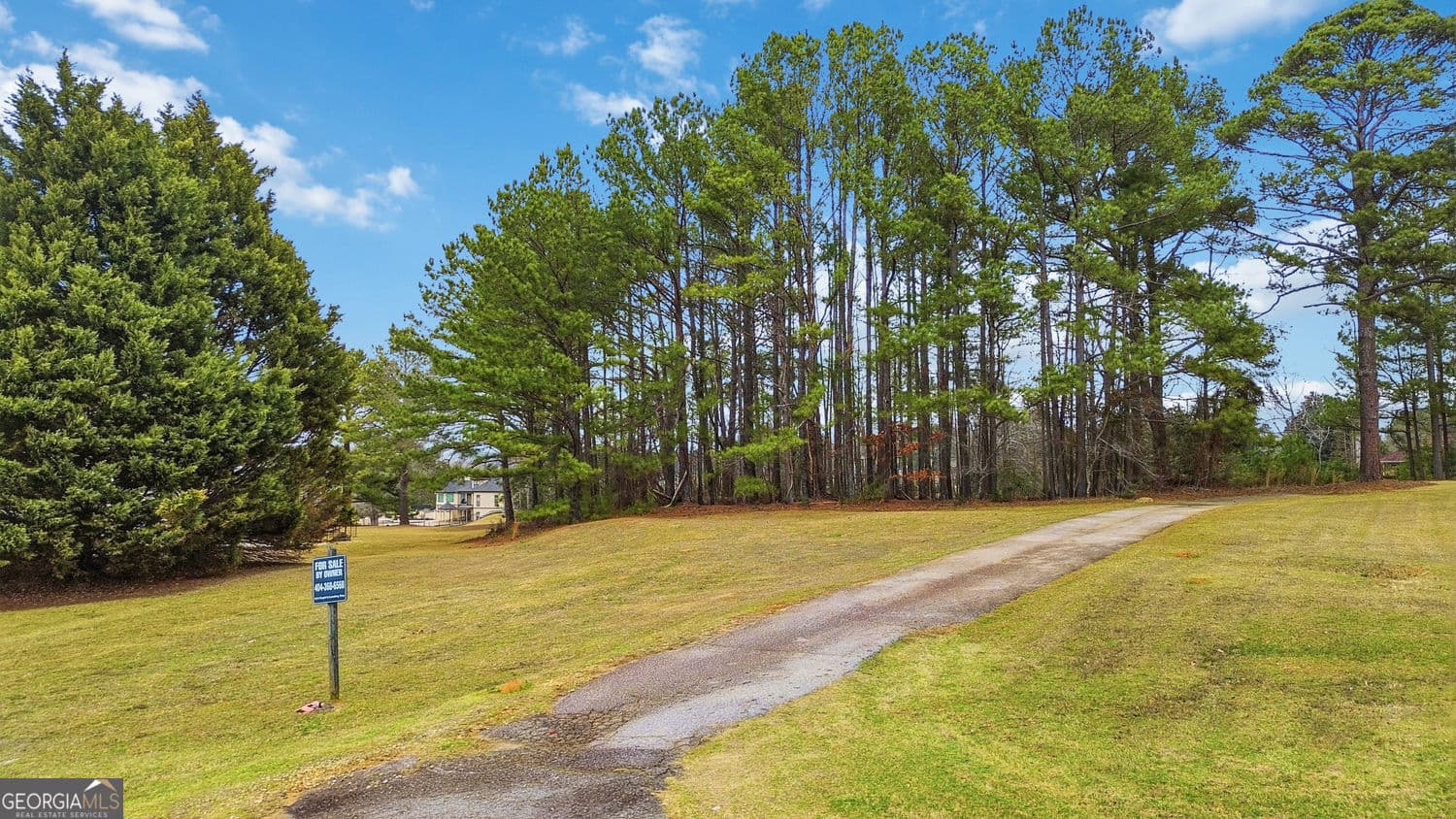 residential lot for sale at 213 Eagles Landing Way, Mcdonough, GA 30253 — photo 2