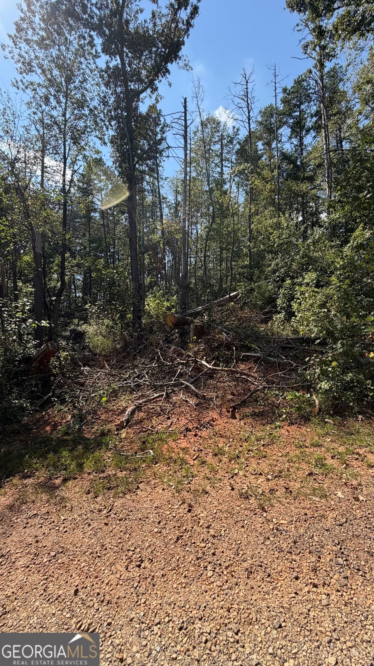 residential lot for sale at 309 Seminole Trail, Martin, GA 30557 — photo 2